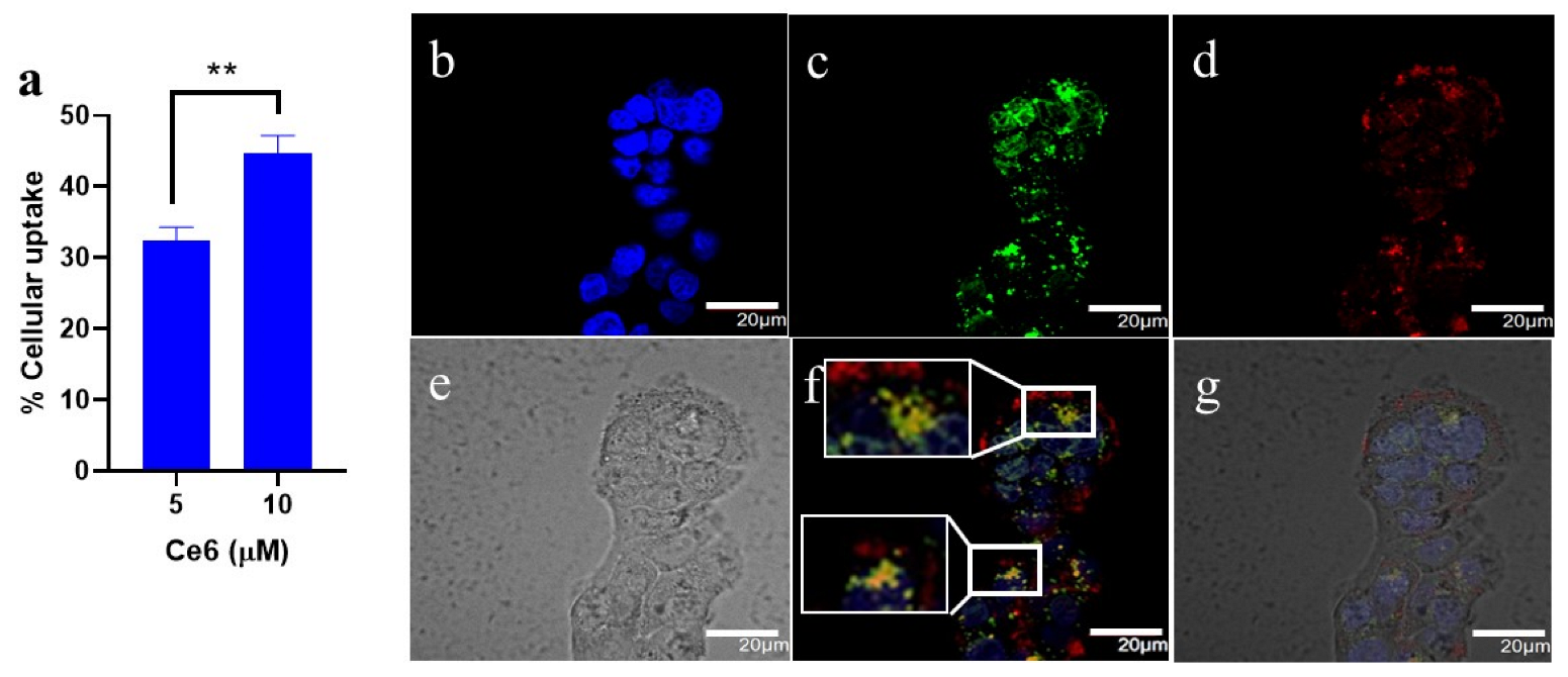 Pharmaceutics 15 01548 g002 Pharmaceutics 15 01548 g002