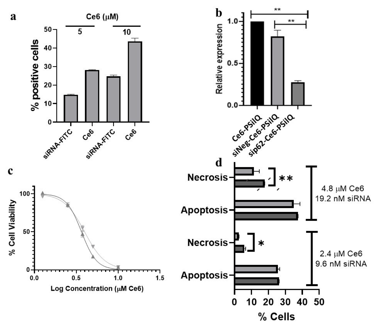Pharmaceutics 15 01548 g004 Pharmaceutics 15 01548 g004