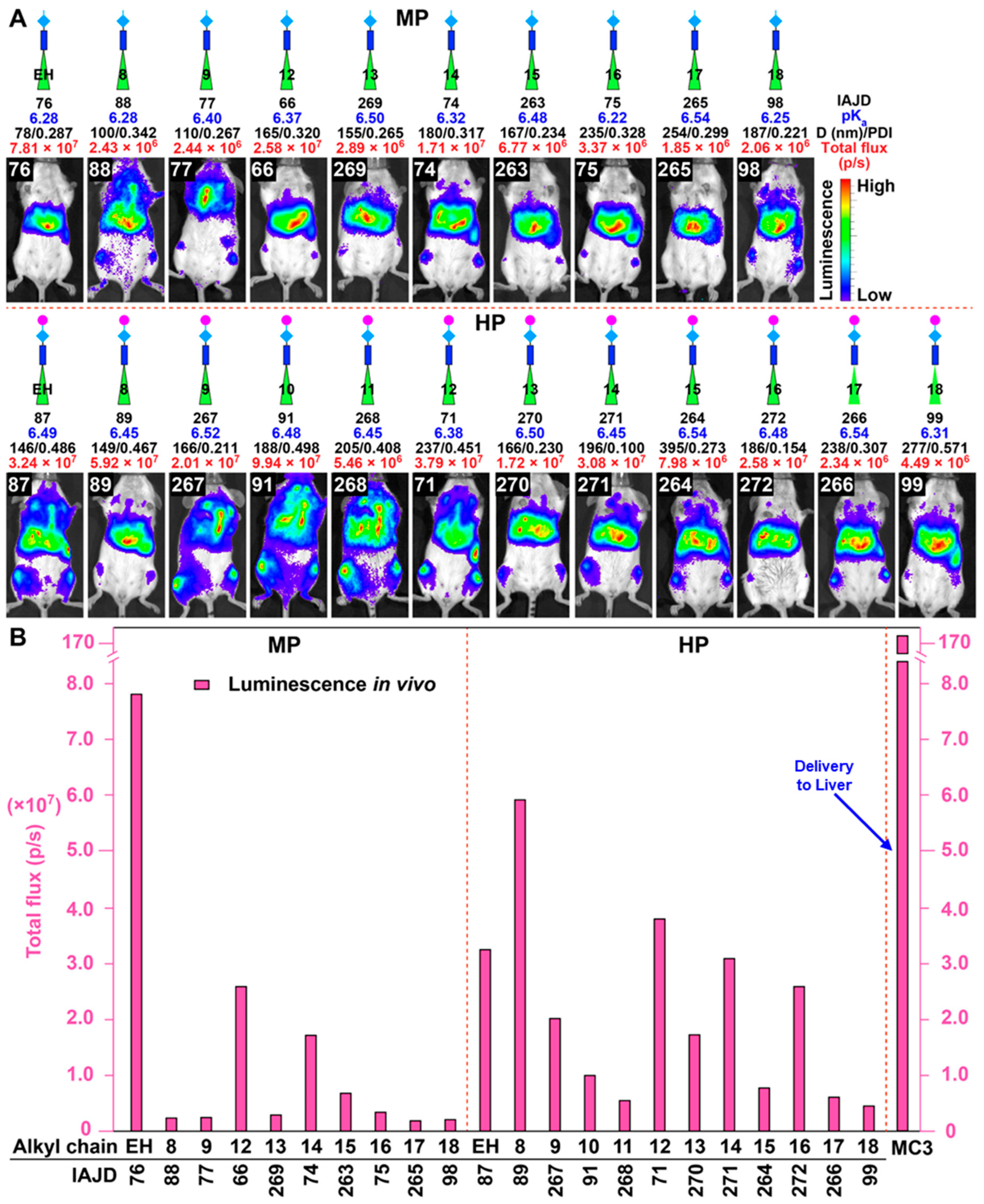 Pharmaceutics 15 01572 g013