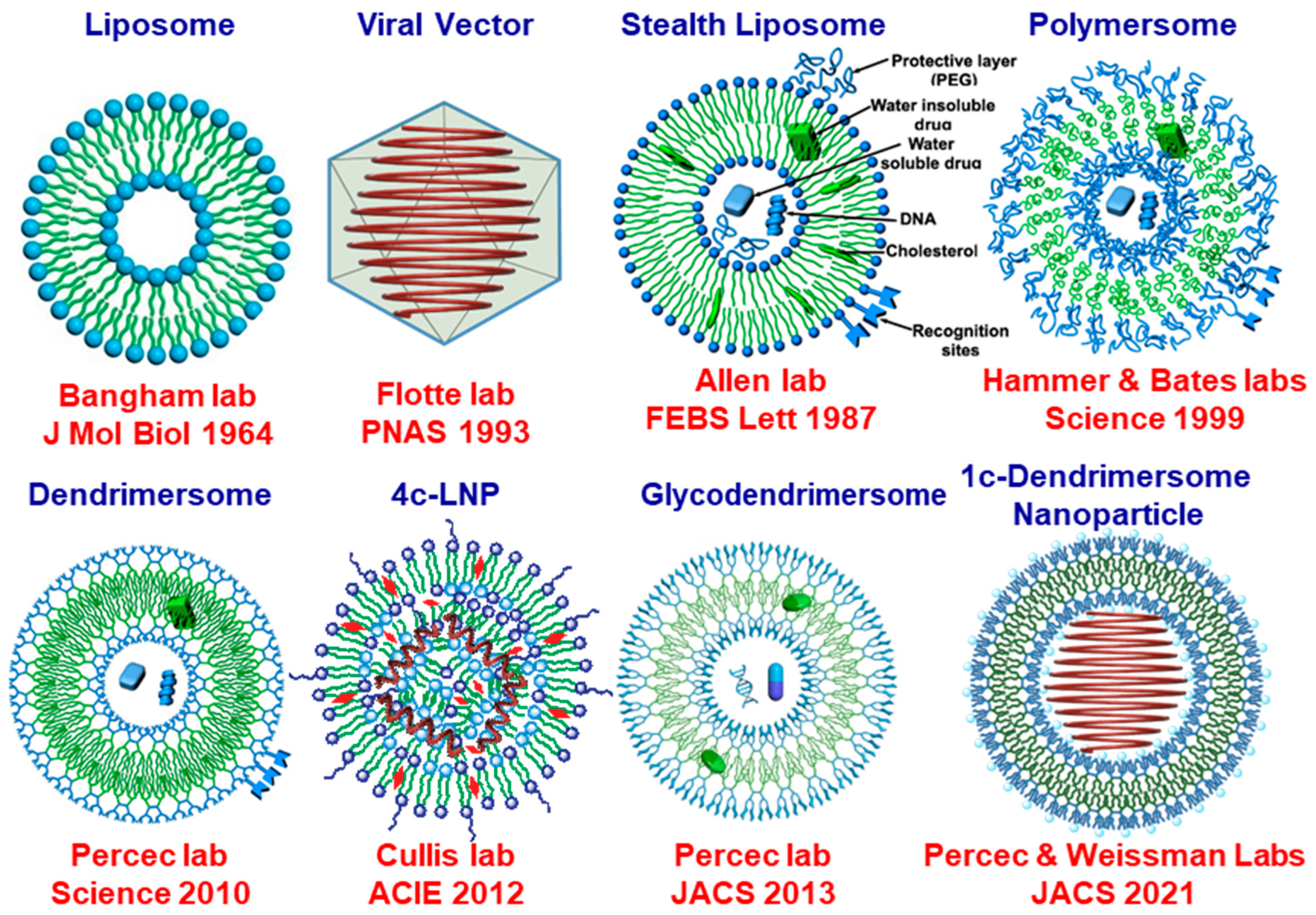 Pharmaceutics 15 01572 g017