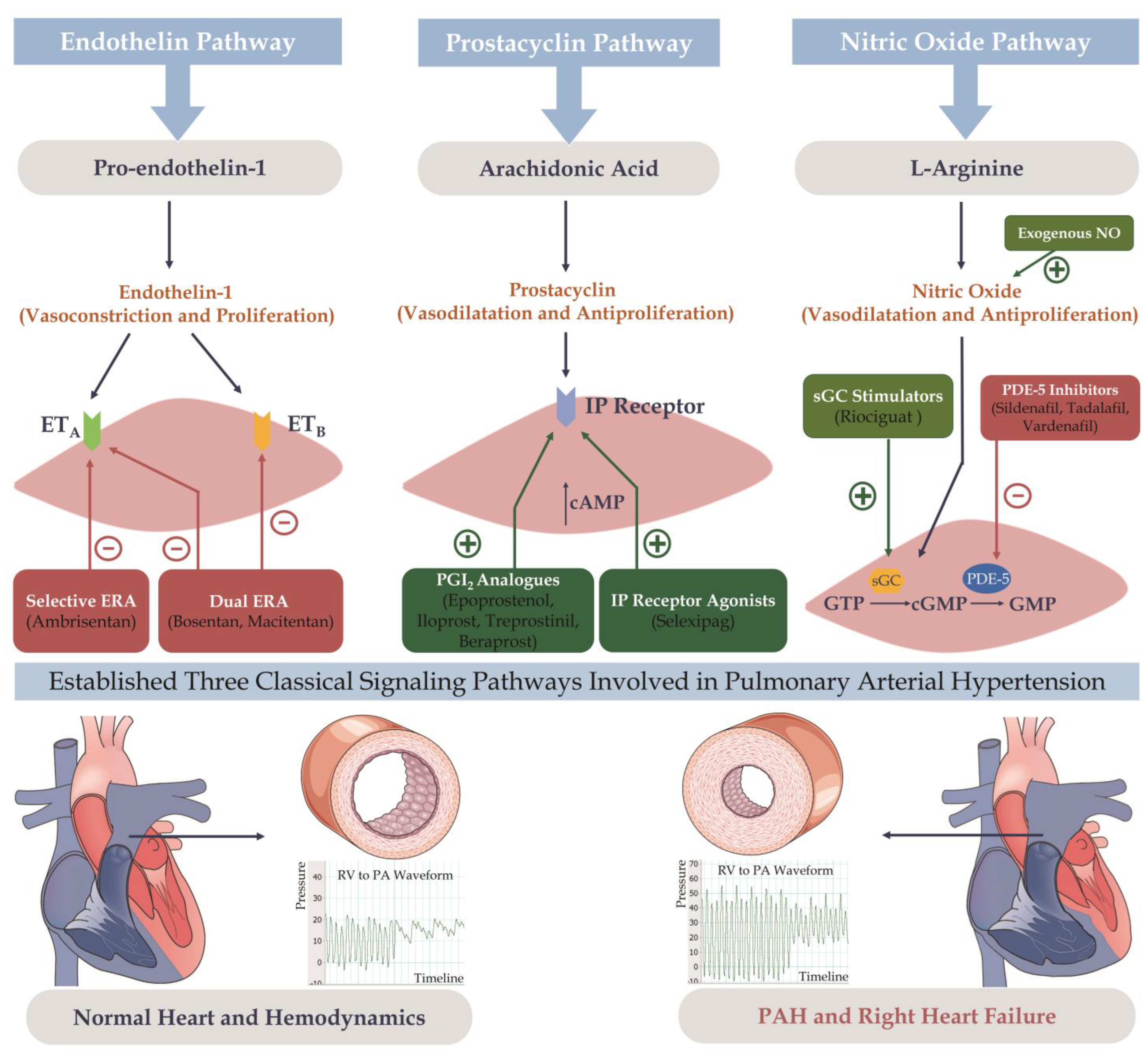 Pharmaceutics 15 01579 g002 Pharmaceutics 15 01579 g002