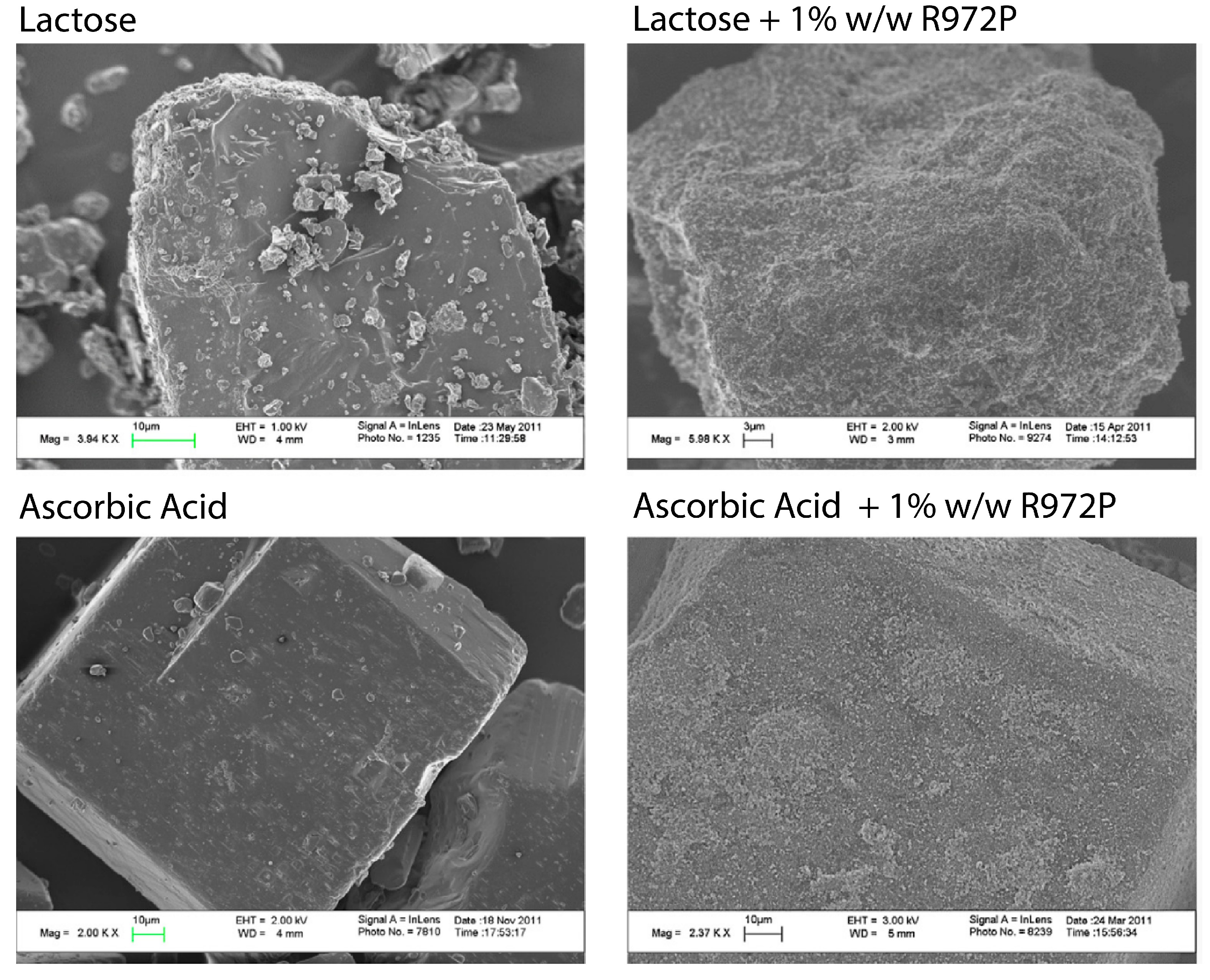 Pharmaceutics 15 01587 g019 Pharmaceutics 15 01587 g019