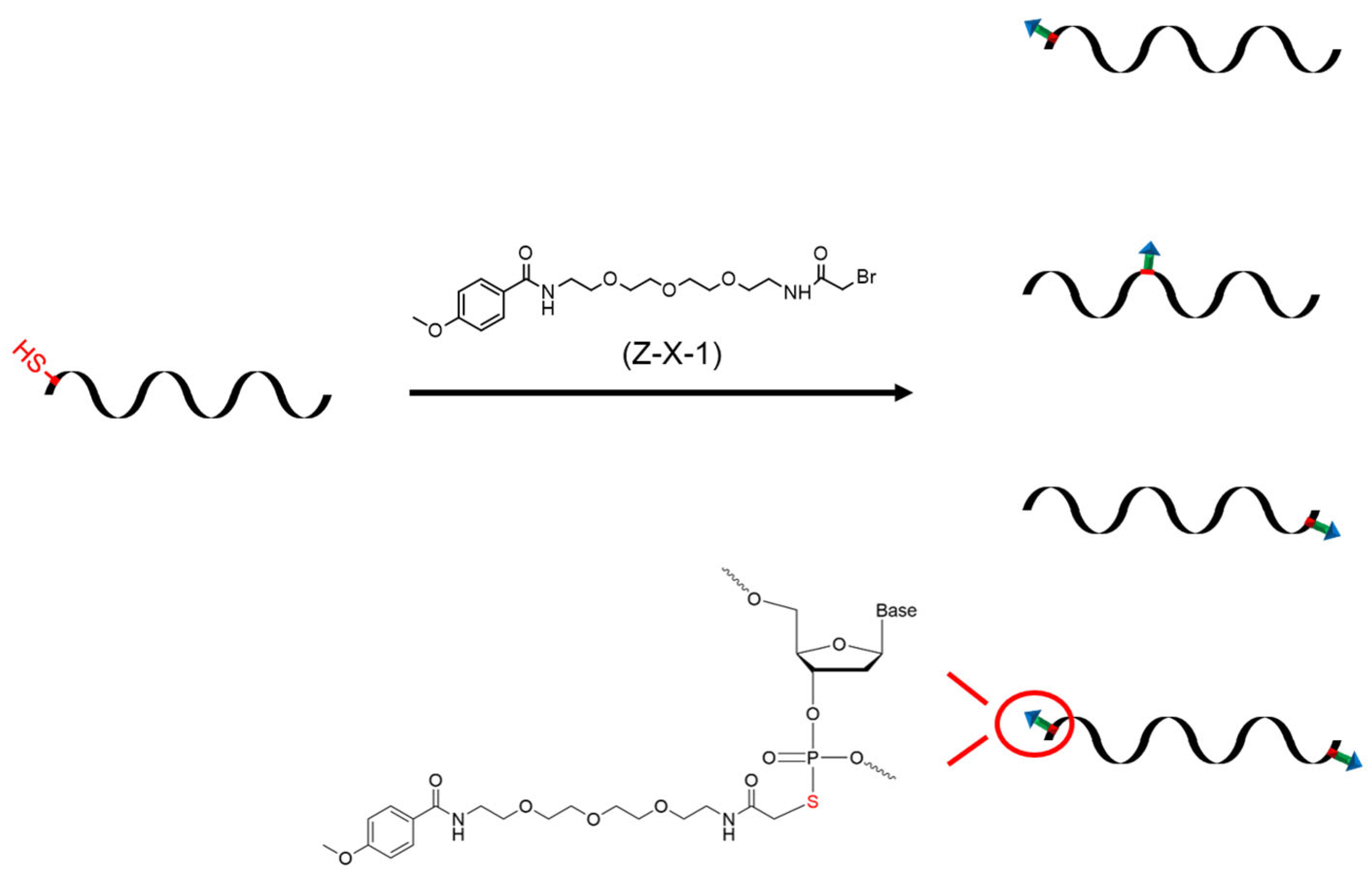 Pharmaceutics 15 01645 g001
