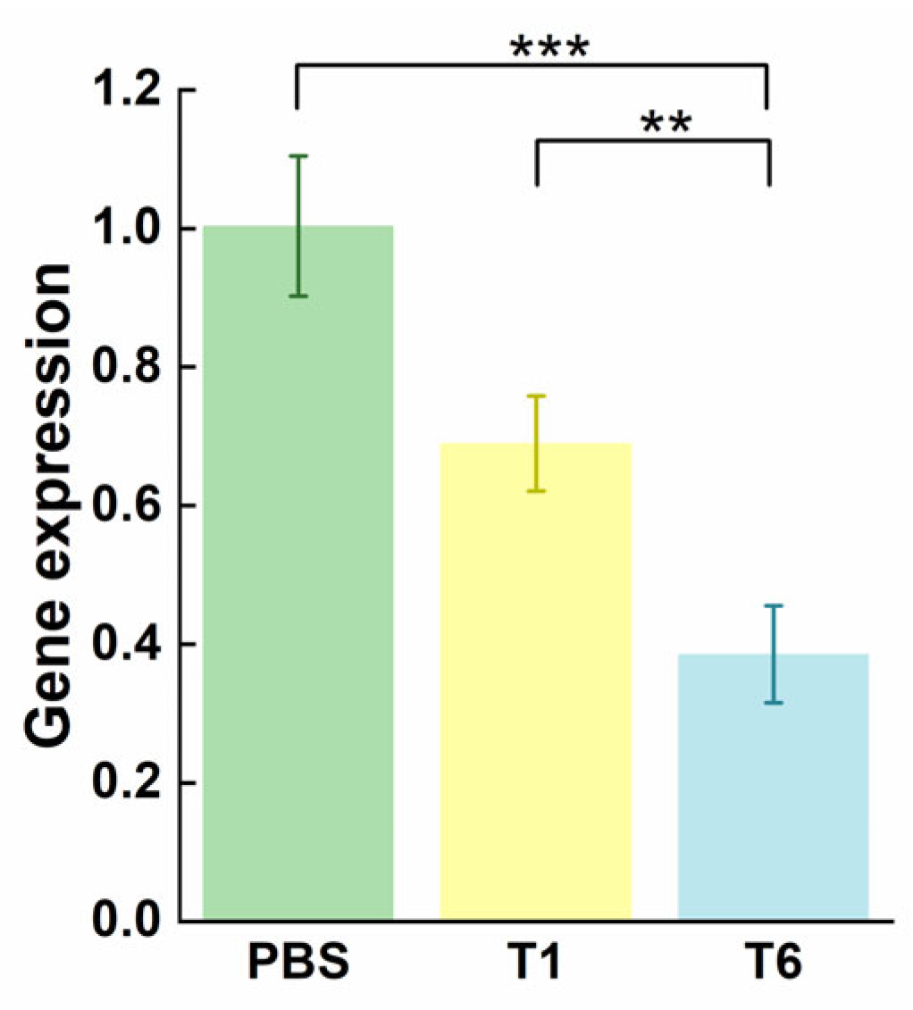 Pharmaceutics 15 01645 g008