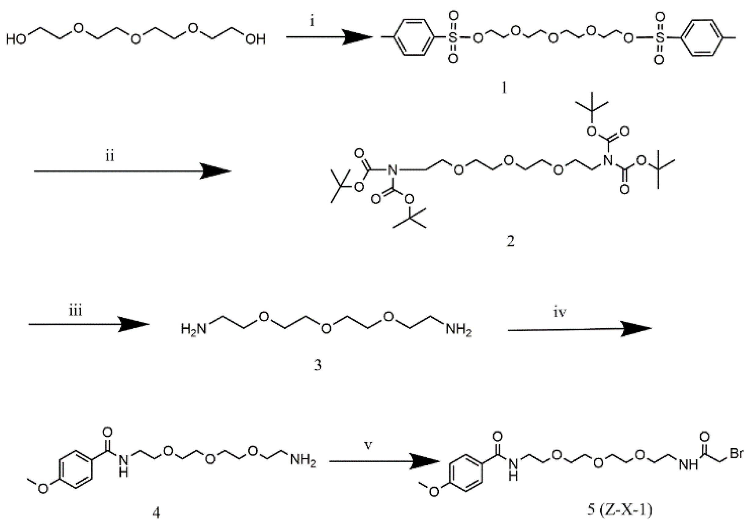 Pharmaceutics 15 01645 sch001