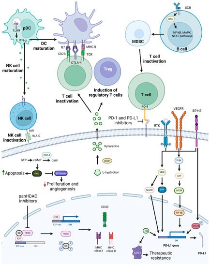 Pharmaceutics | Free Full-Text | Combination Therapy as a Promising Way ...