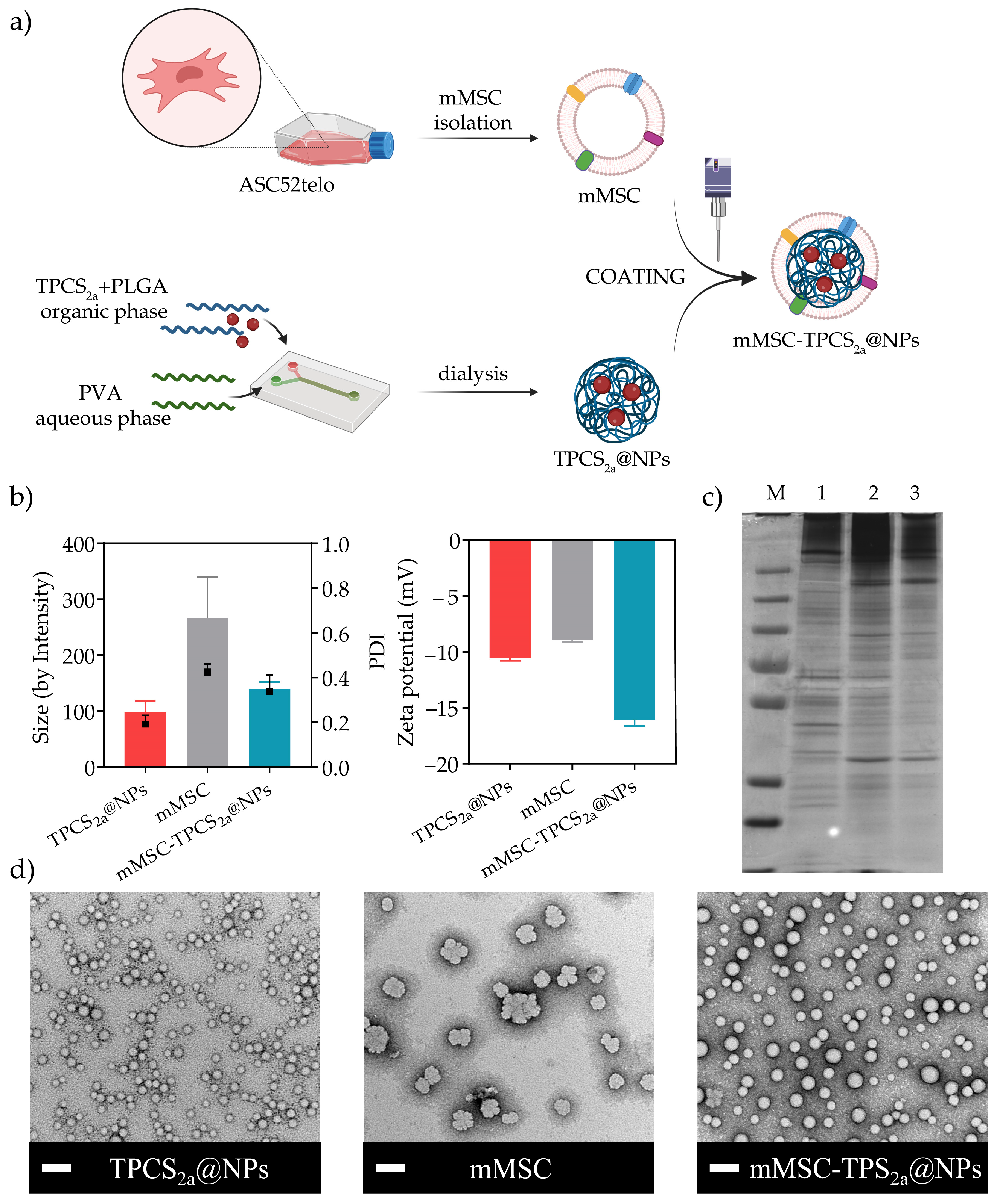 Pharmaceutics 15 01654 g001 Pharmaceutics 15 01654 g001