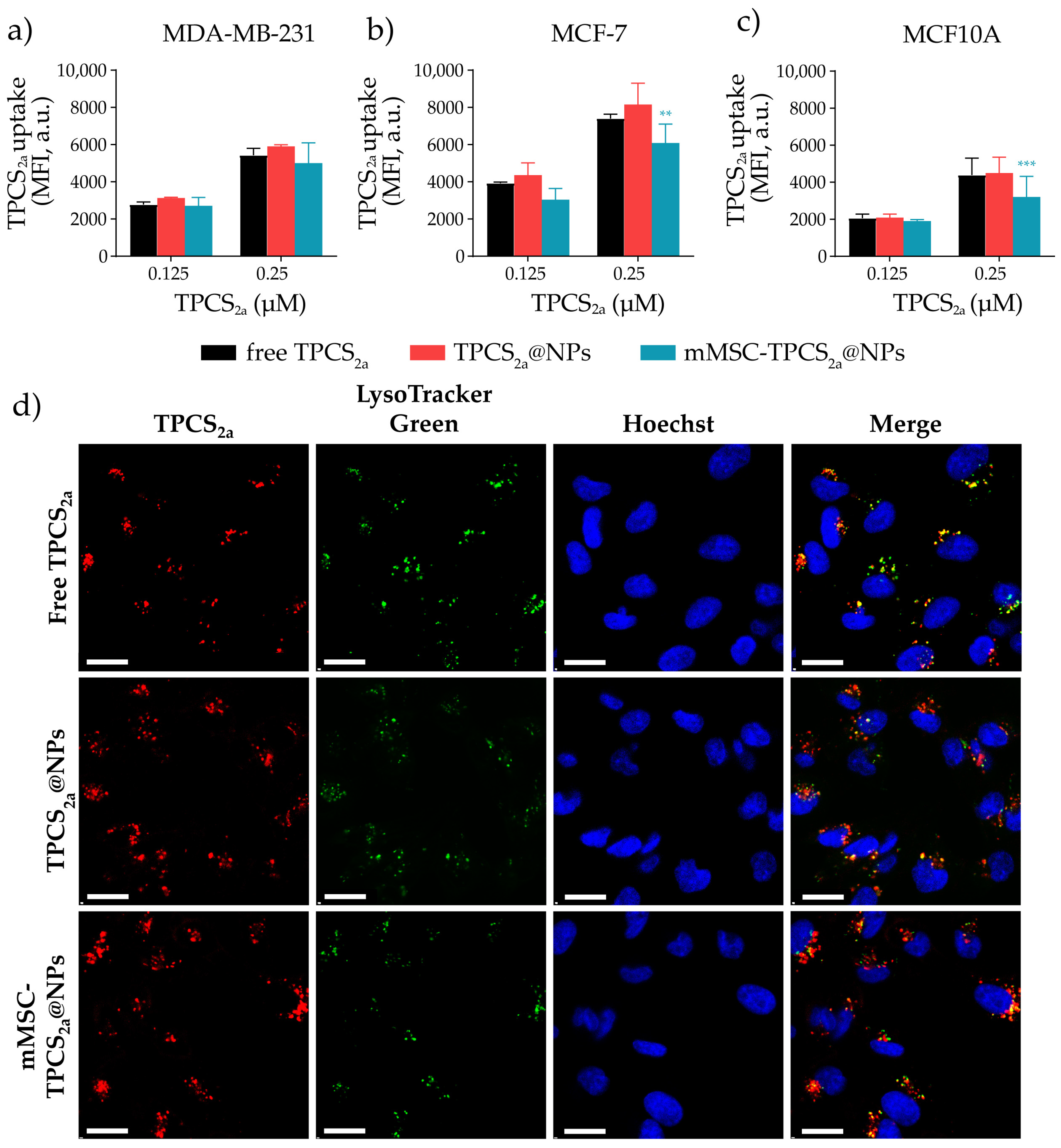 Pharmaceutics 15 01654 g004 Pharmaceutics 15 01654 g004