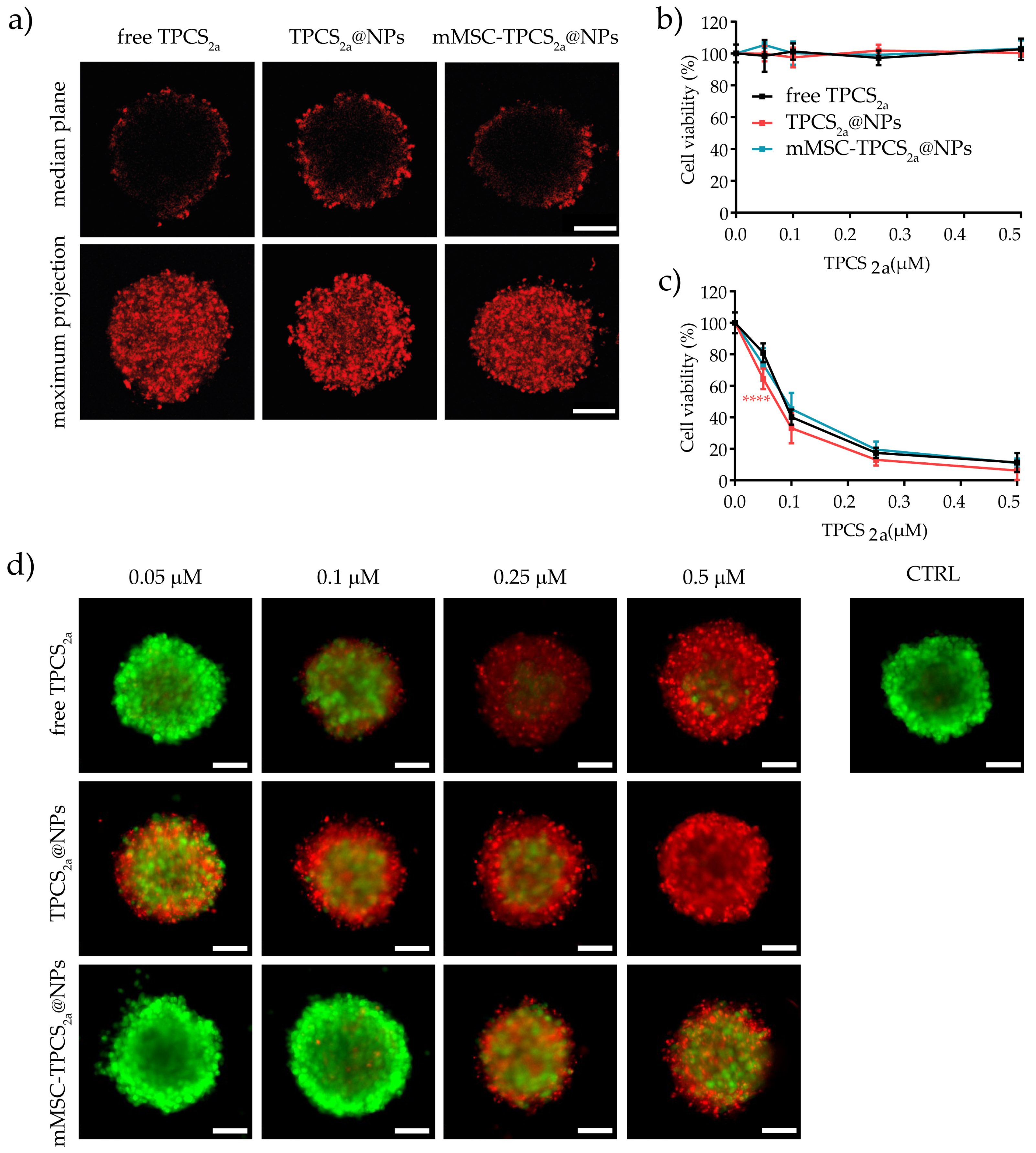 Pharmaceutics 15 01654 g006 Pharmaceutics 15 01654 g006