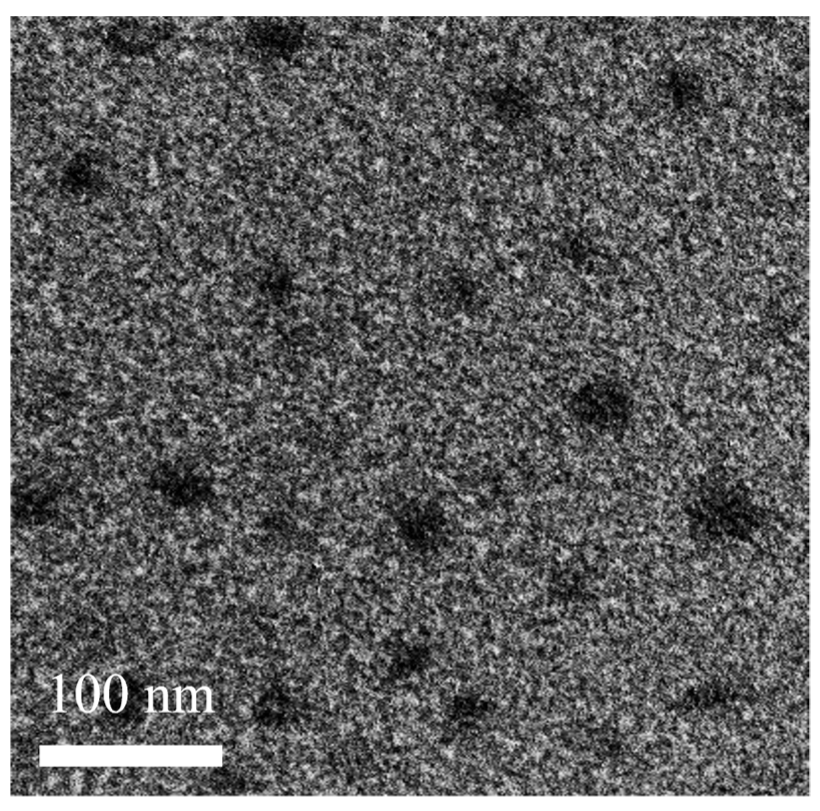 Pharmaceutics 15 01669 g002