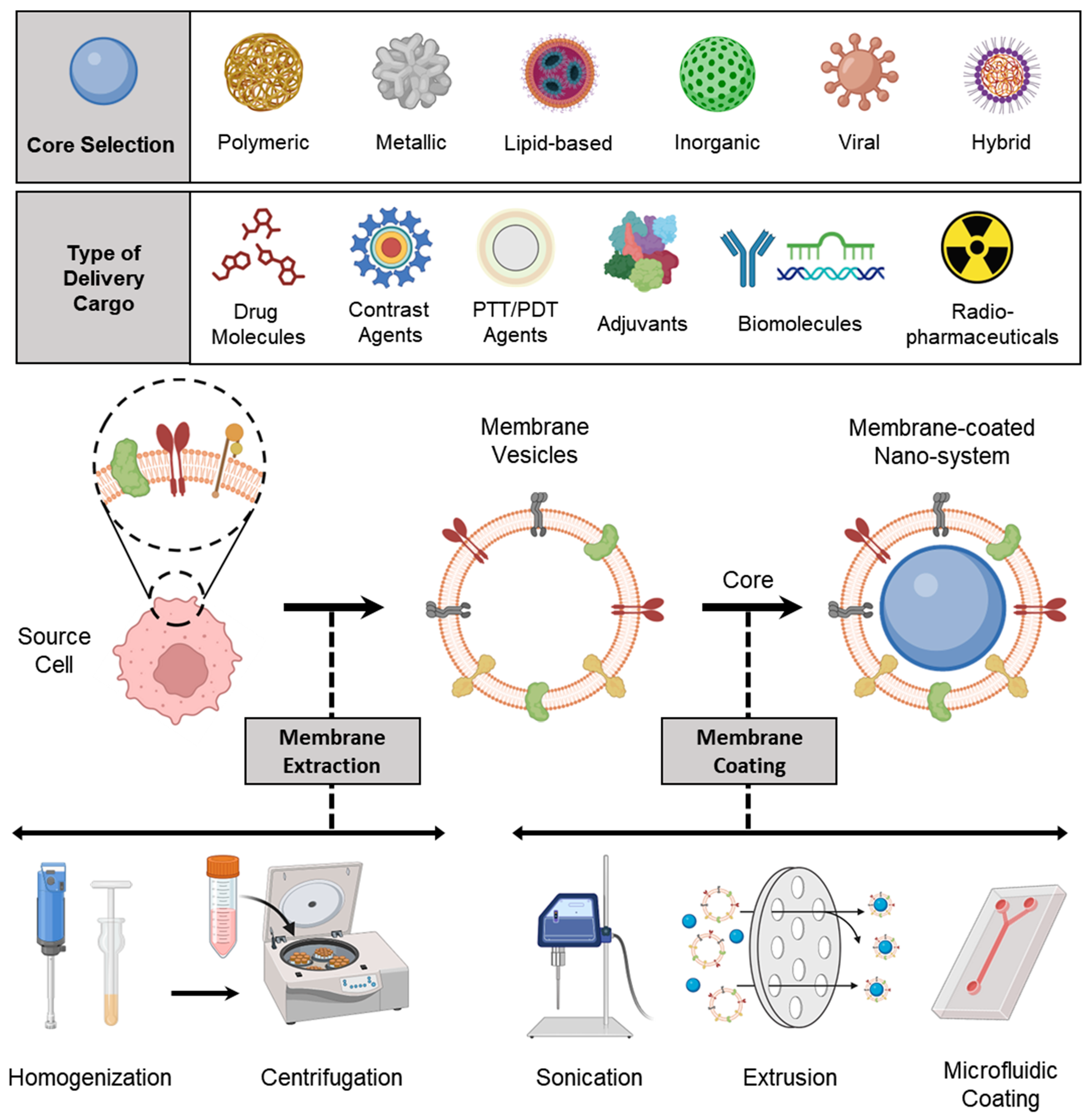 Pharmaceutics 15 01677 g002