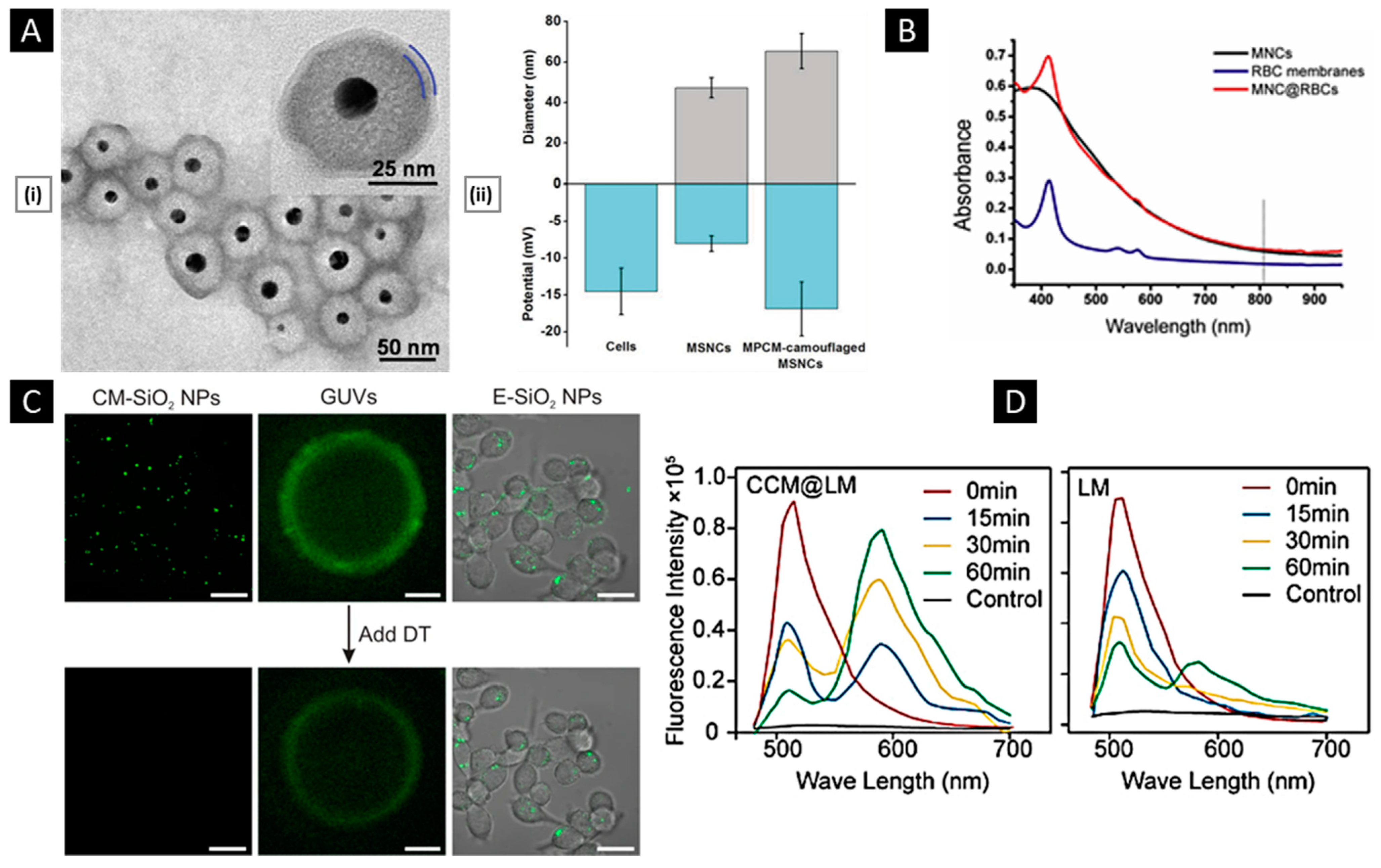 Pharmaceutics 15 01677 g006