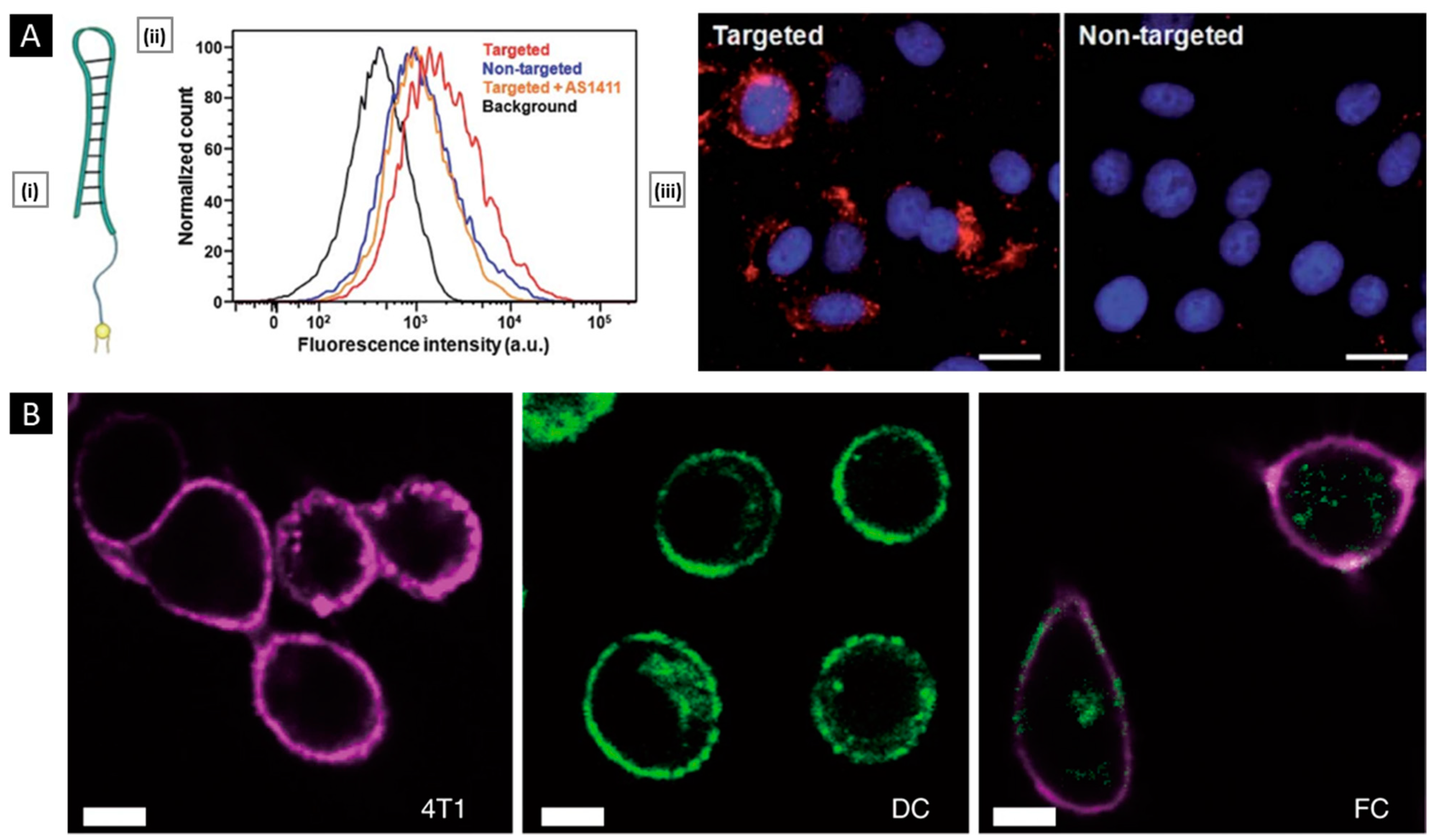 Pharmaceutics 15 01677 g009