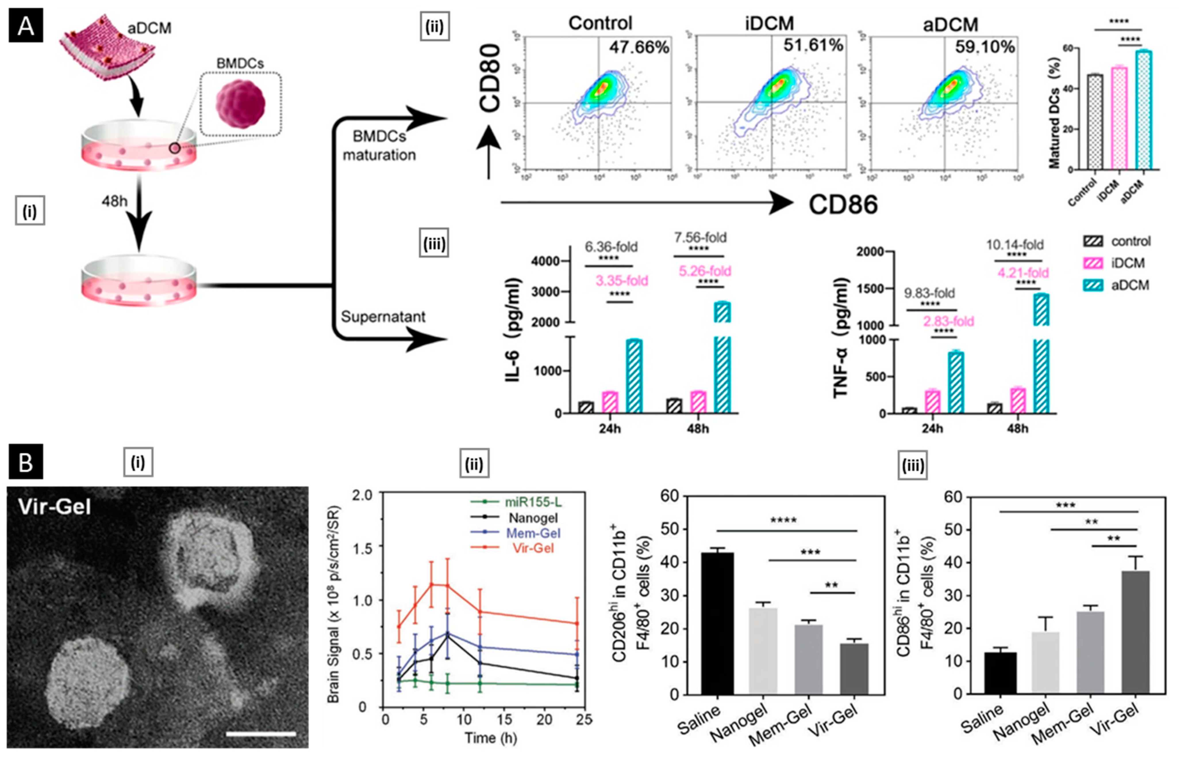Pharmaceutics 15 01677 g014