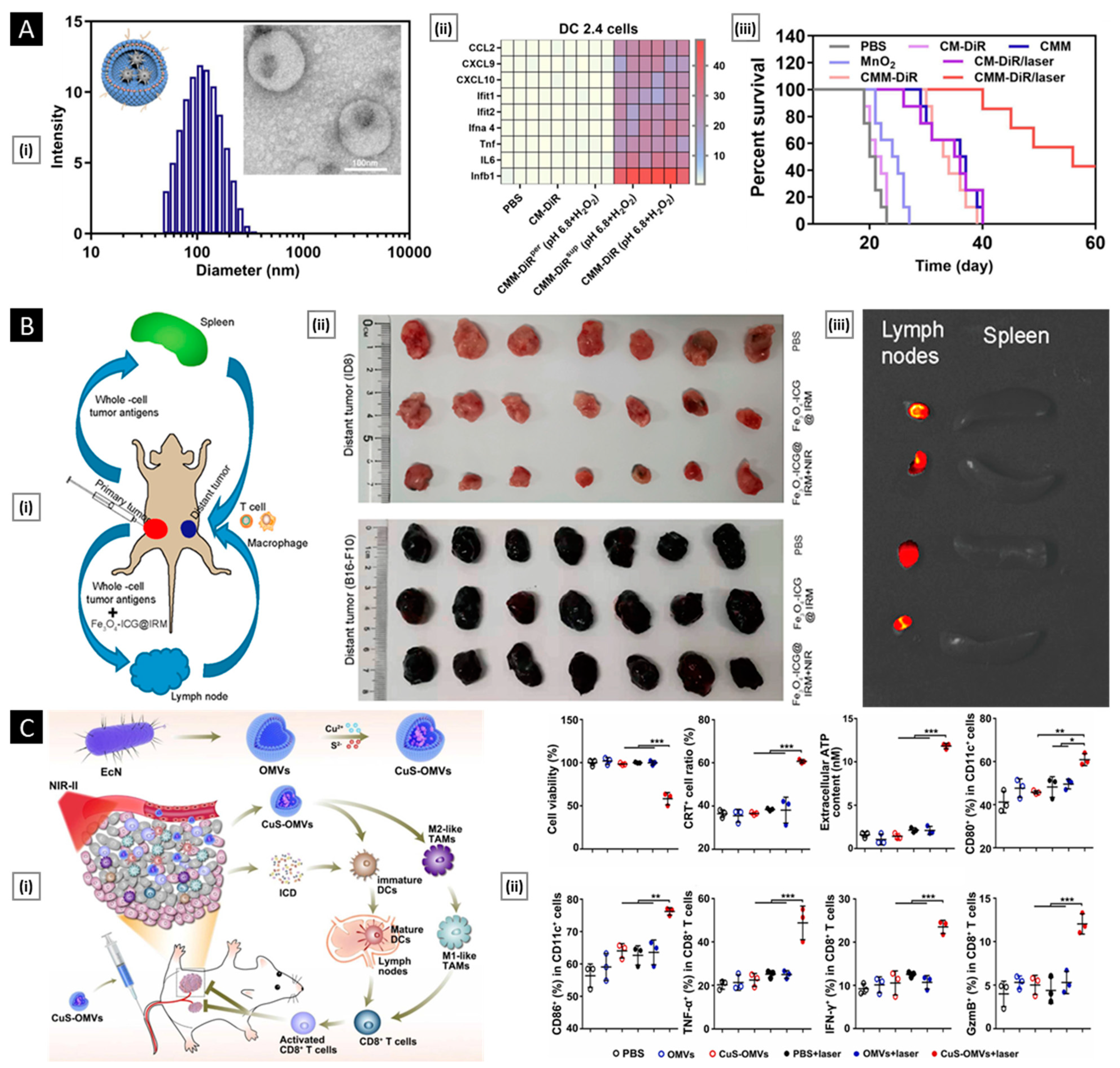 Pharmaceutics 15 01677 g015