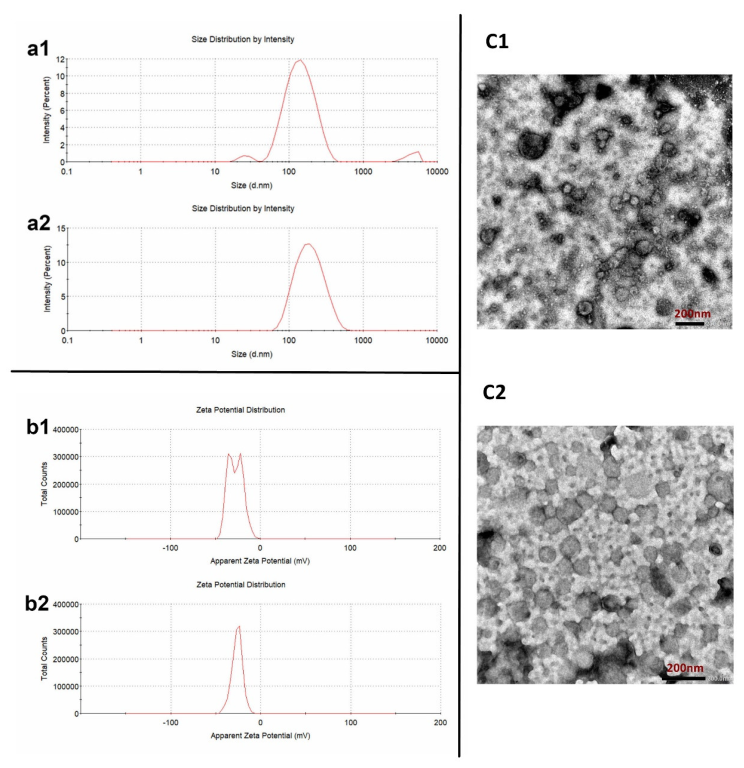 Pharmaceutics 15 01681 g001 Pharmaceutics 15 01681 g001