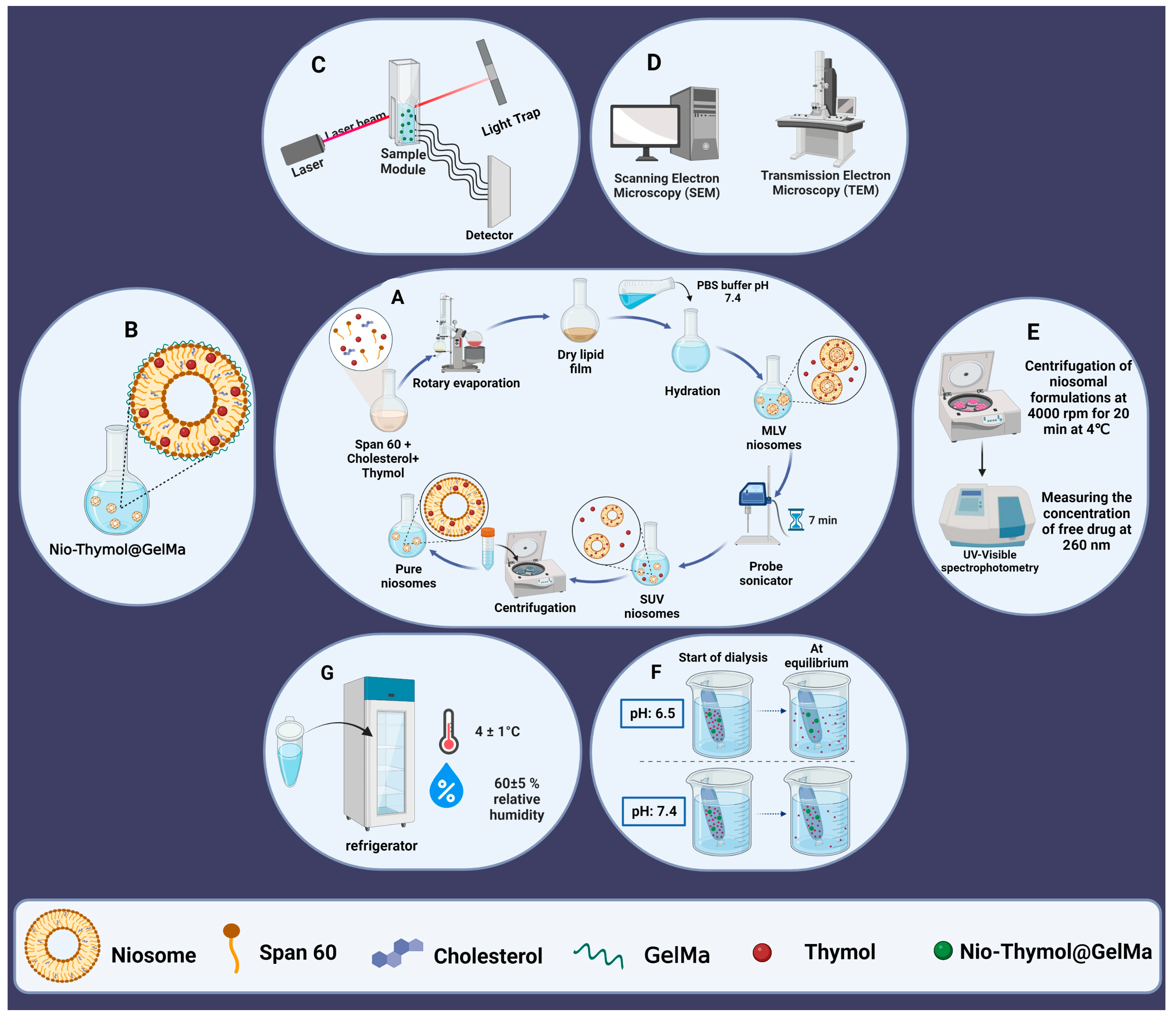 Pharmaceutics 15 01699 g001 Pharmaceutics 15 01699 g001