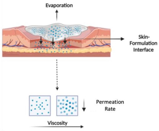 Pharmaceutics | Free Full-Text | Metamorphosis of Topical Semisolid ...