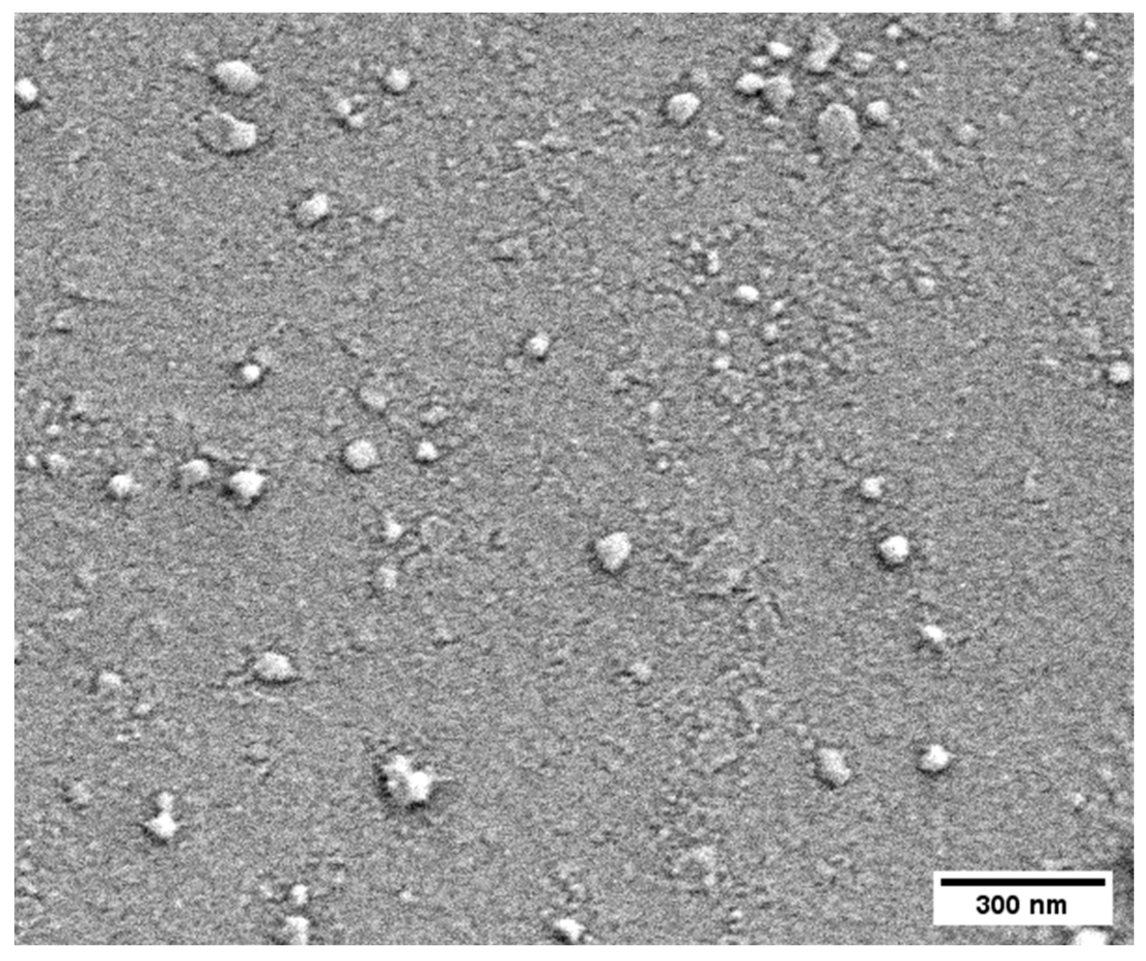 Pharmaceutics 15 01717 g002 Pharmaceutics 15 01717 g002