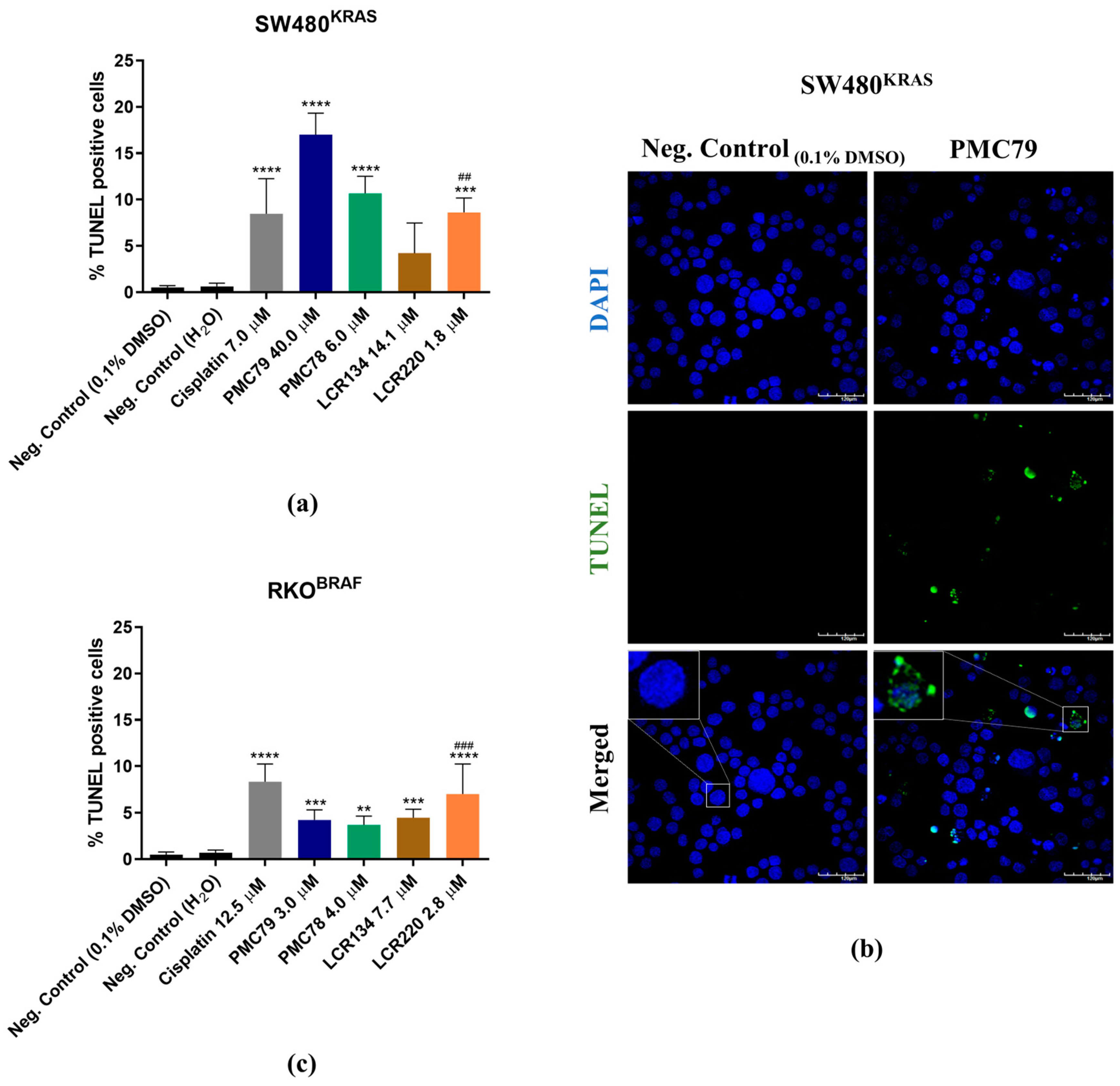 Pharmaceutics 15 01731 g007