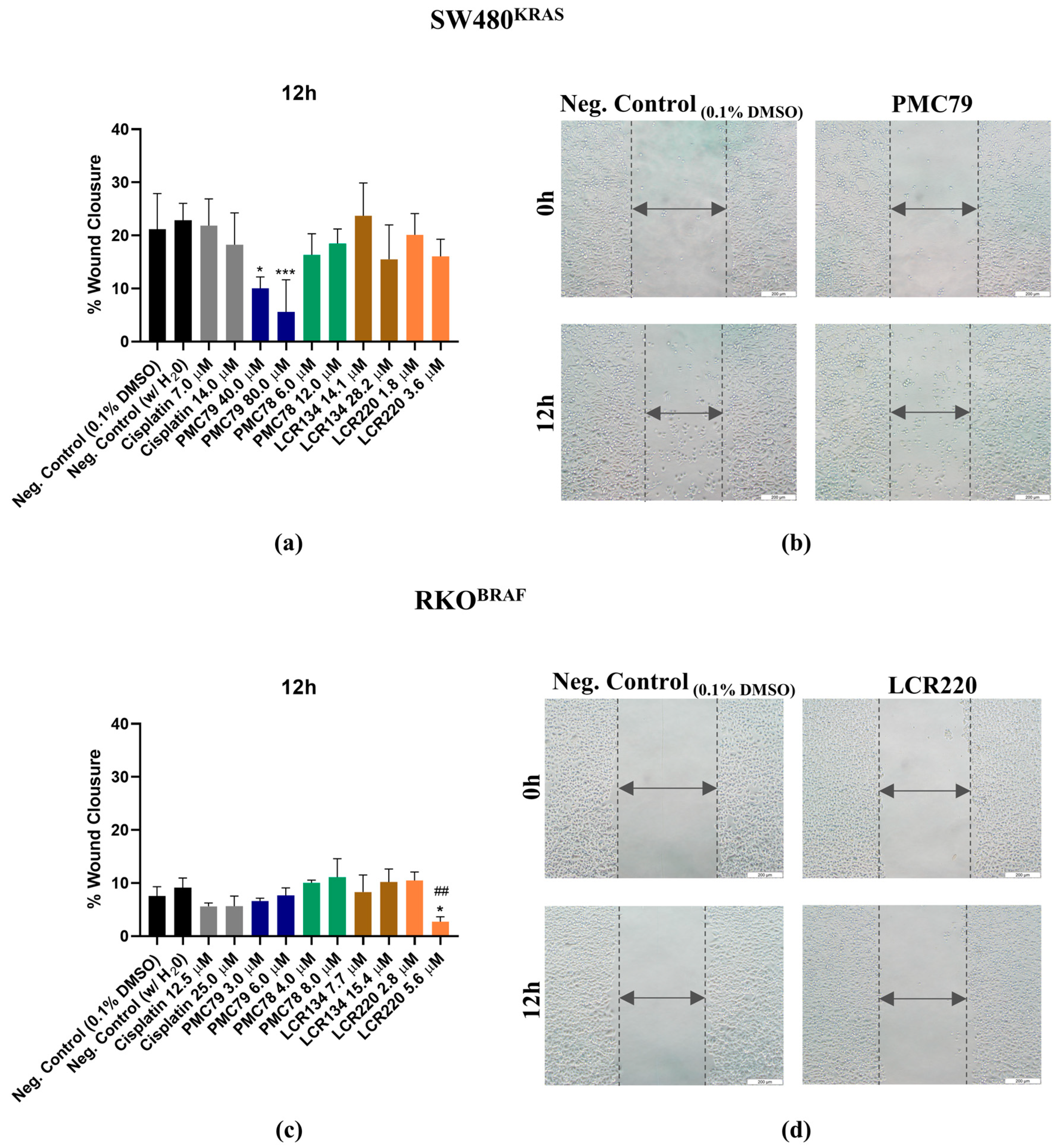 Pharmaceutics 15 01731 g016
