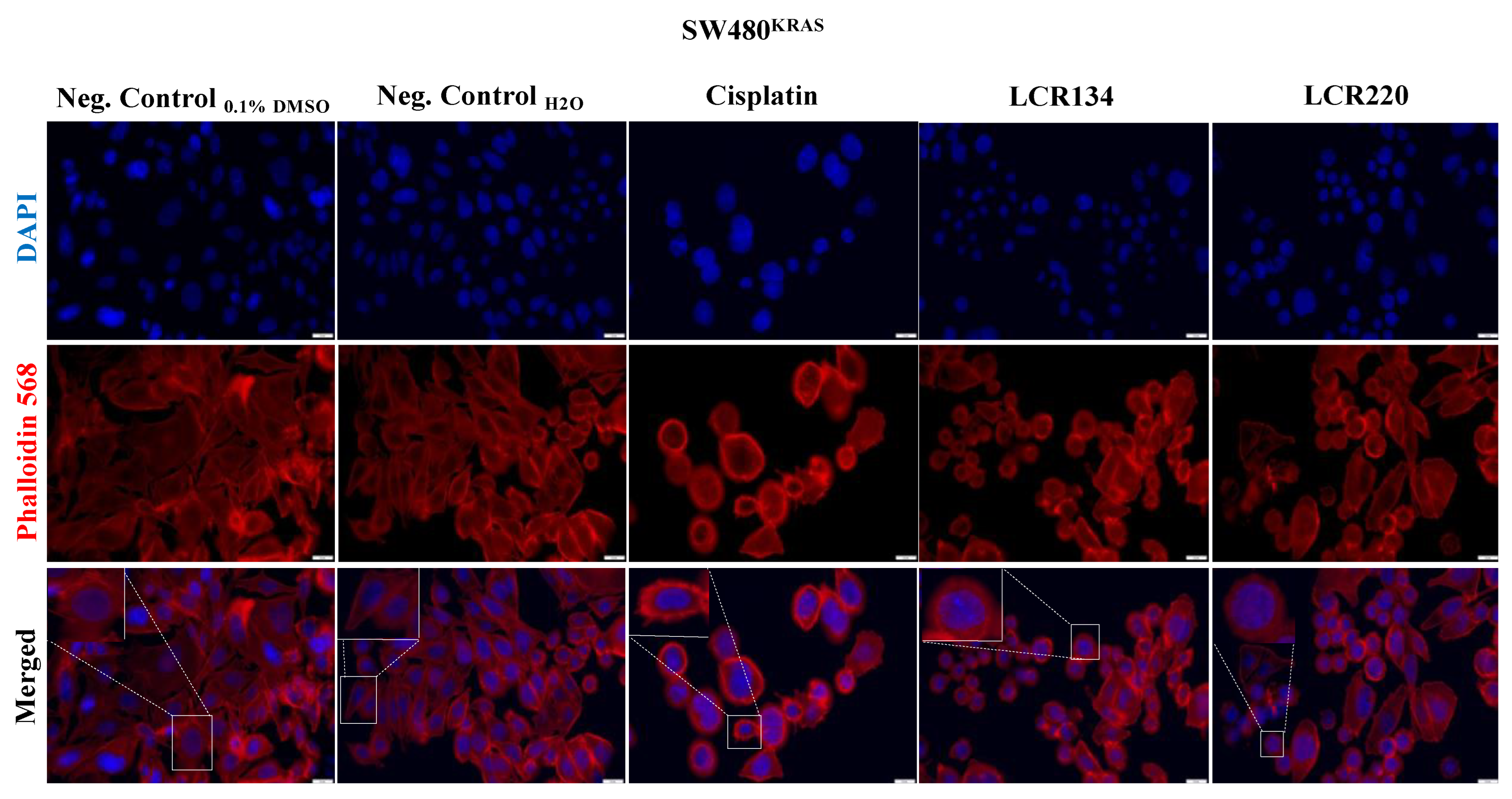 Pharmaceutics 15 01731 g0a7