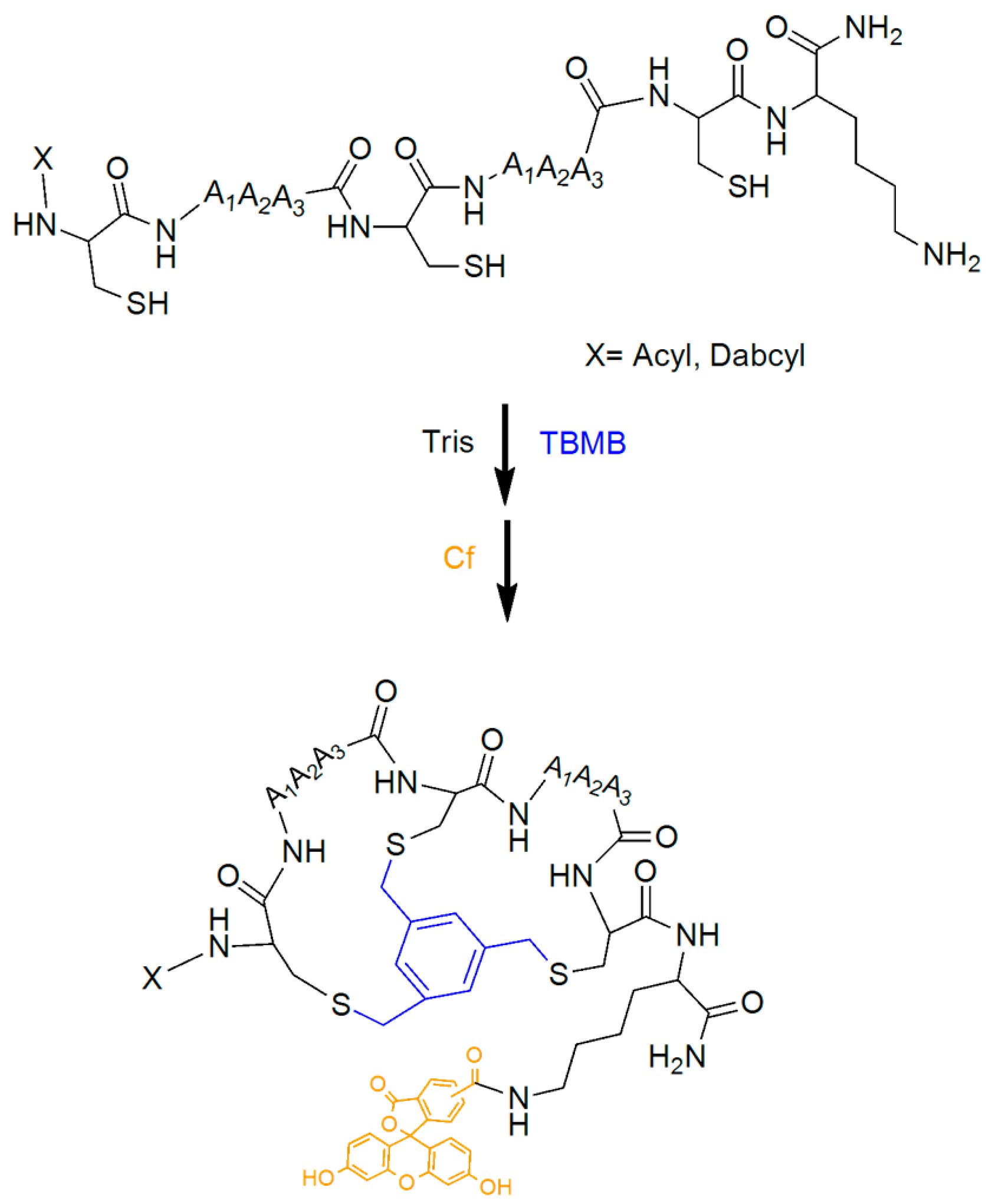 Pharmaceutics 15 01736 sch001 Pharmaceutics 15 01736 sch001