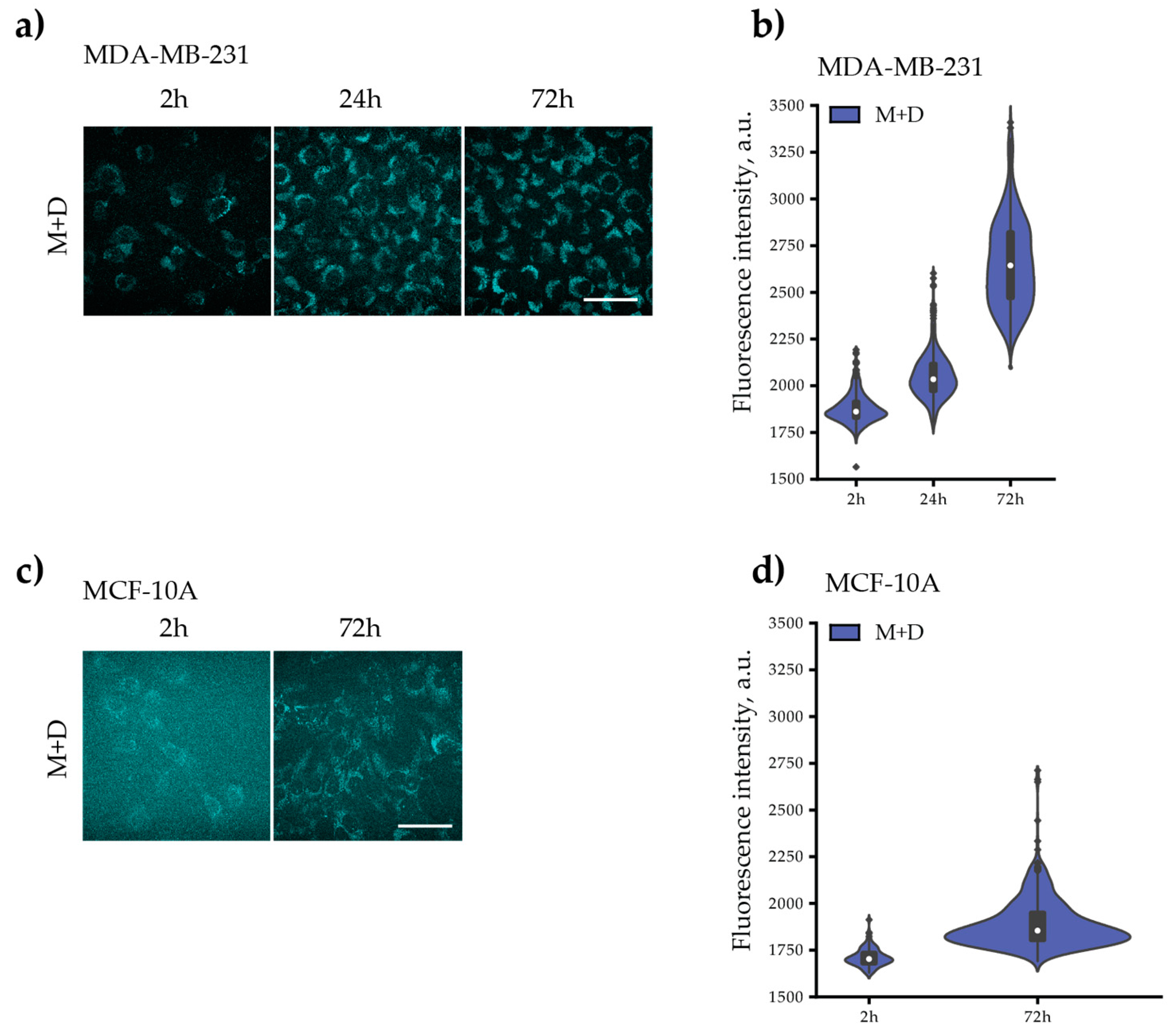 Pharmaceutics 15 01753 g009 Pharmaceutics 15 01753 g009