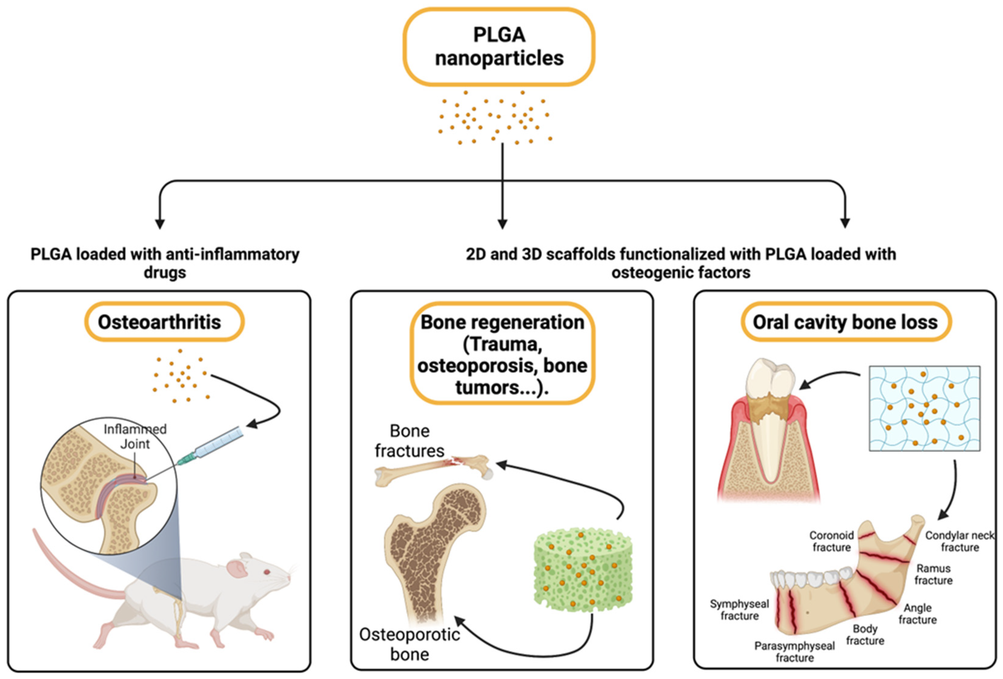 Pharmaceutics 15 01772 g003 Pharmaceutics 15 01772 g003