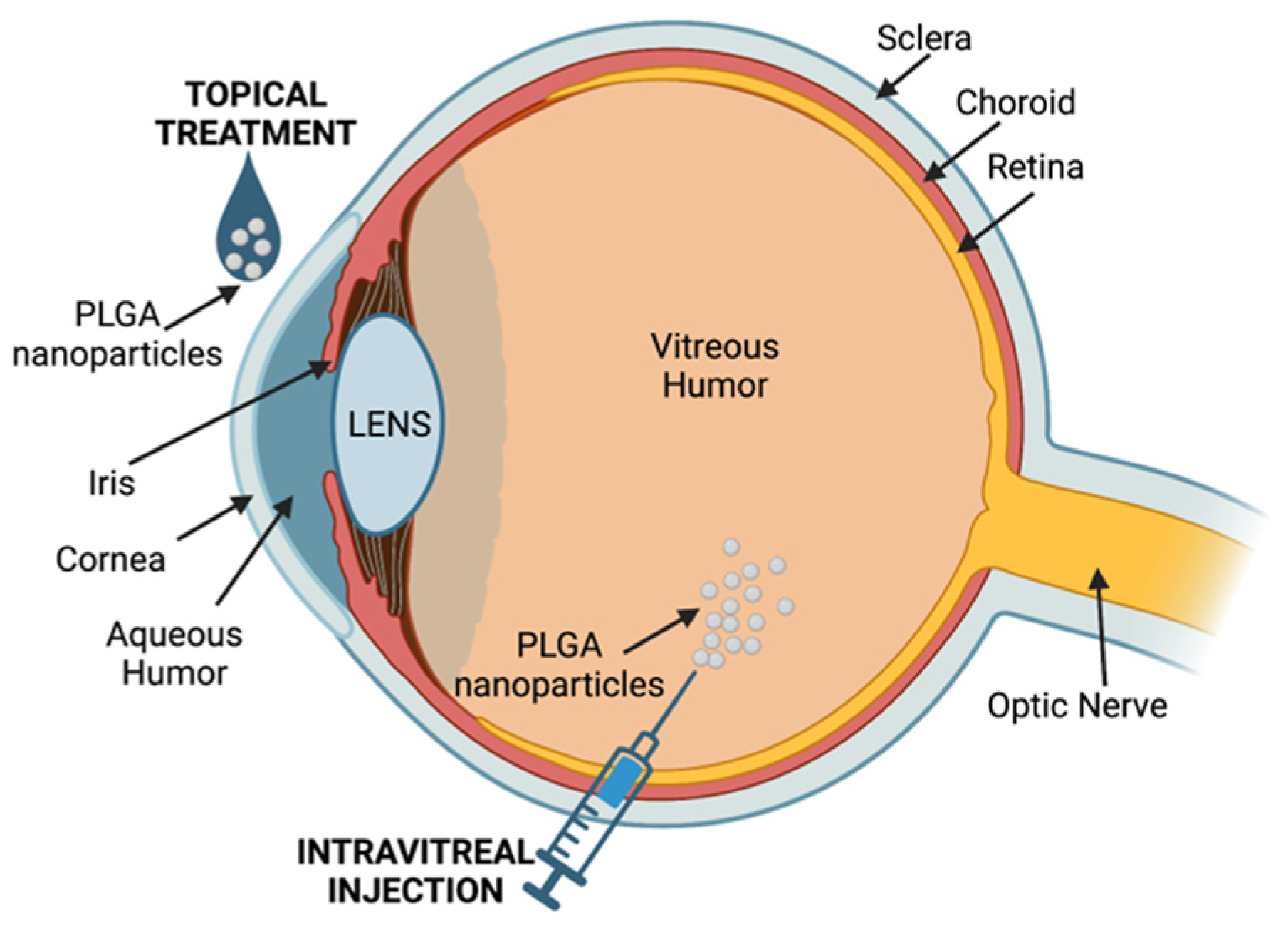 Pharmaceutics 15 01772 g004 Pharmaceutics 15 01772 g004