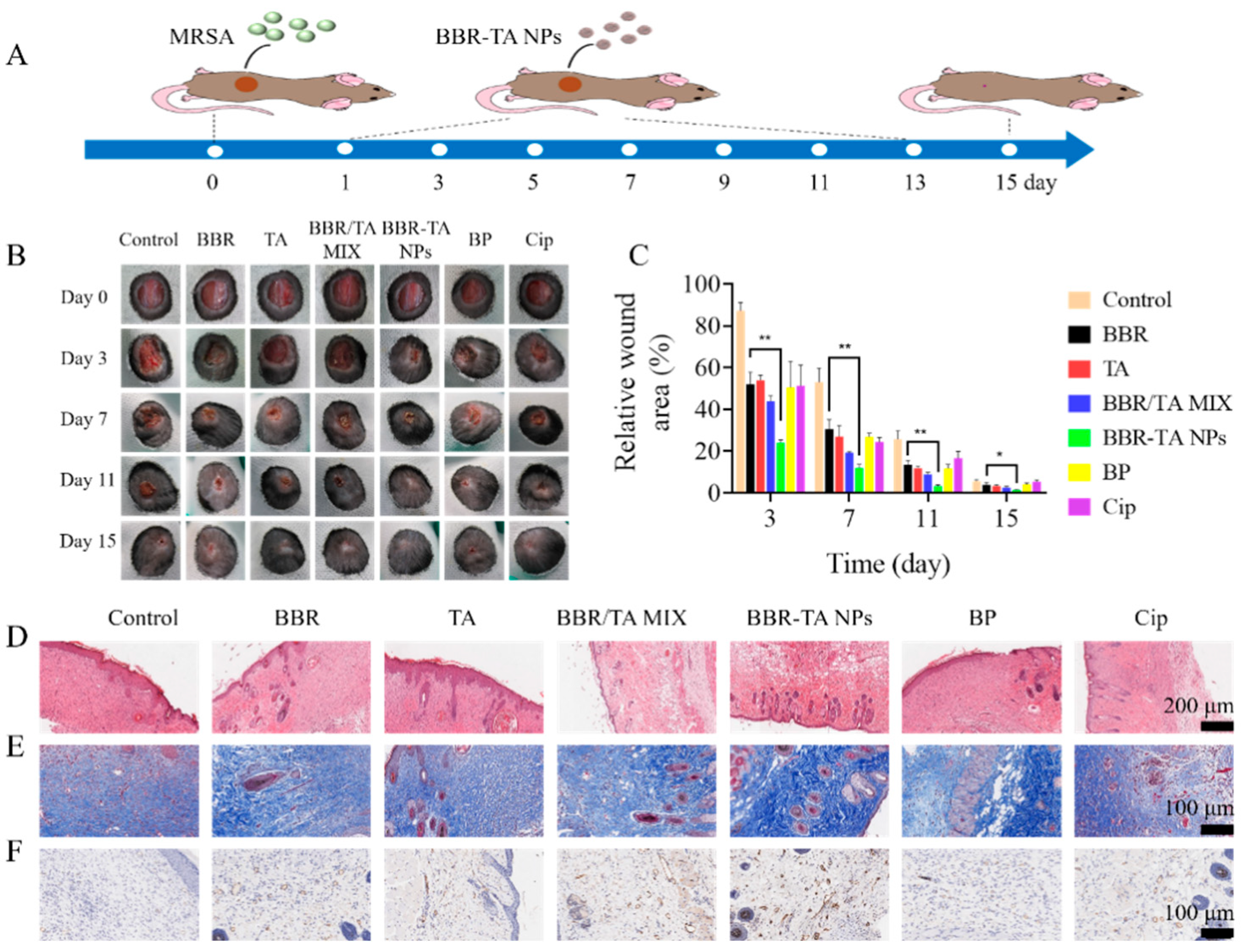 Pharmaceutics 15 01782 g005
