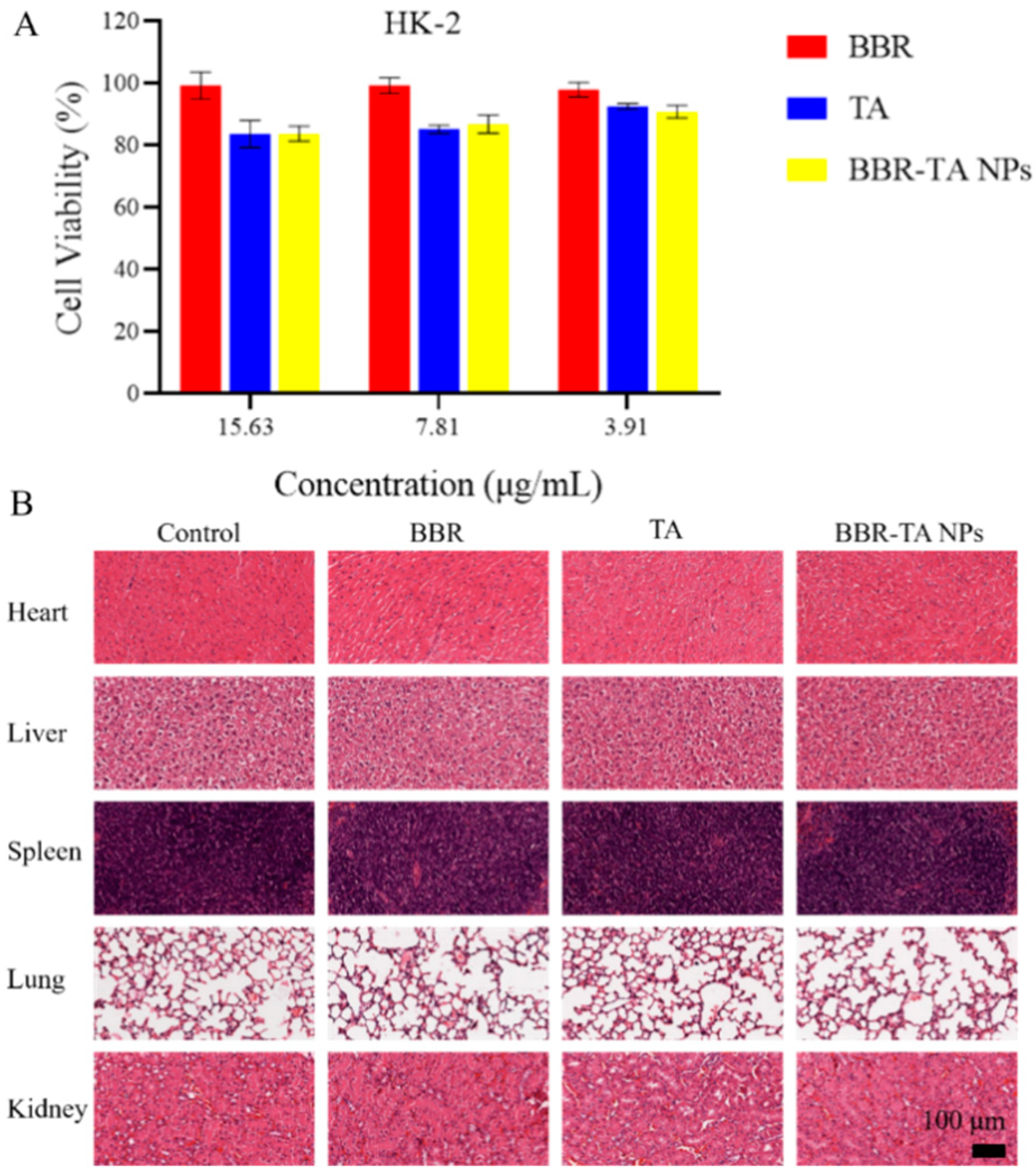 Pharmaceutics 15 01782 g006