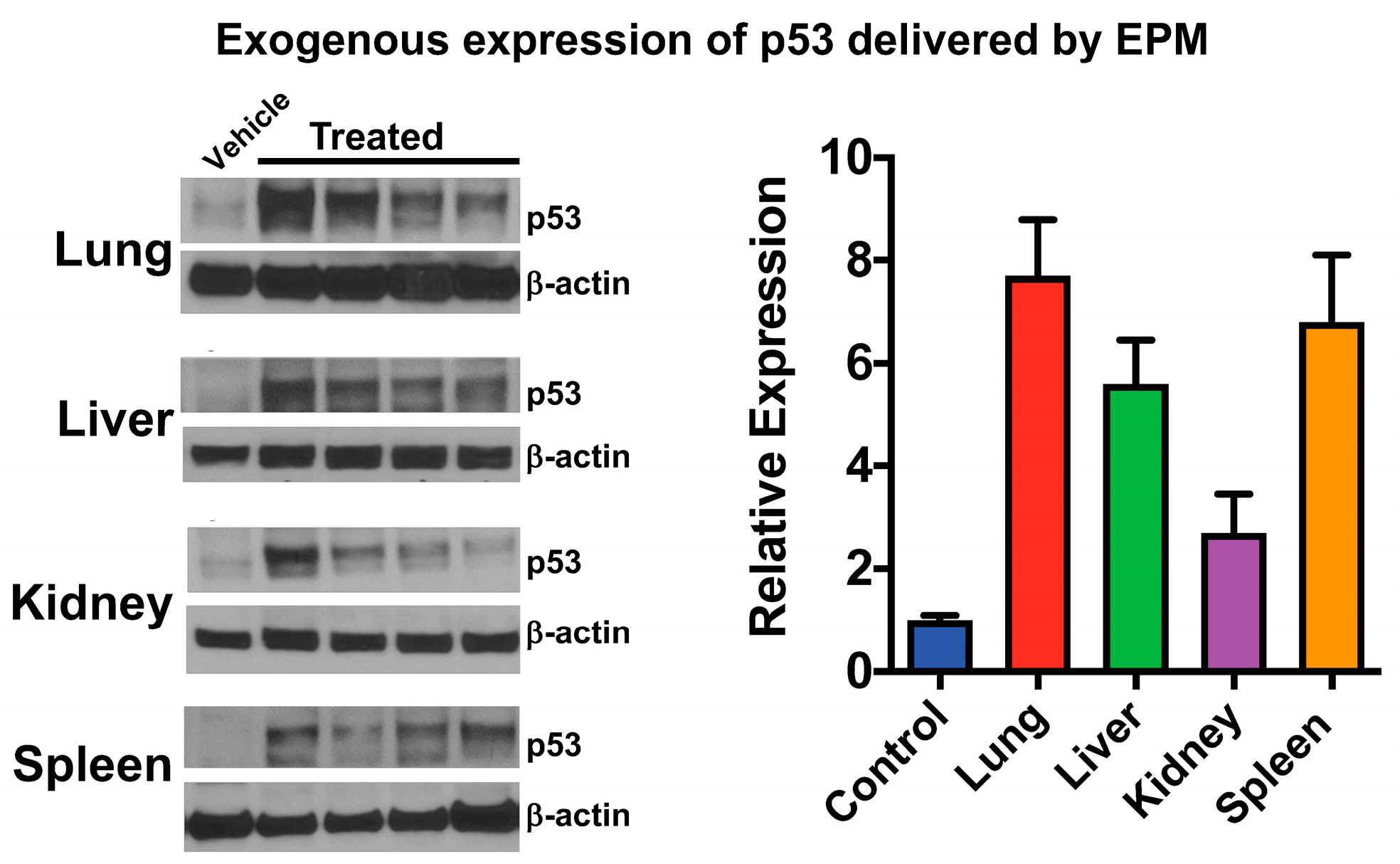 Pharmaceutics 15 01832 g004 Pharmaceutics 15 01832 g004