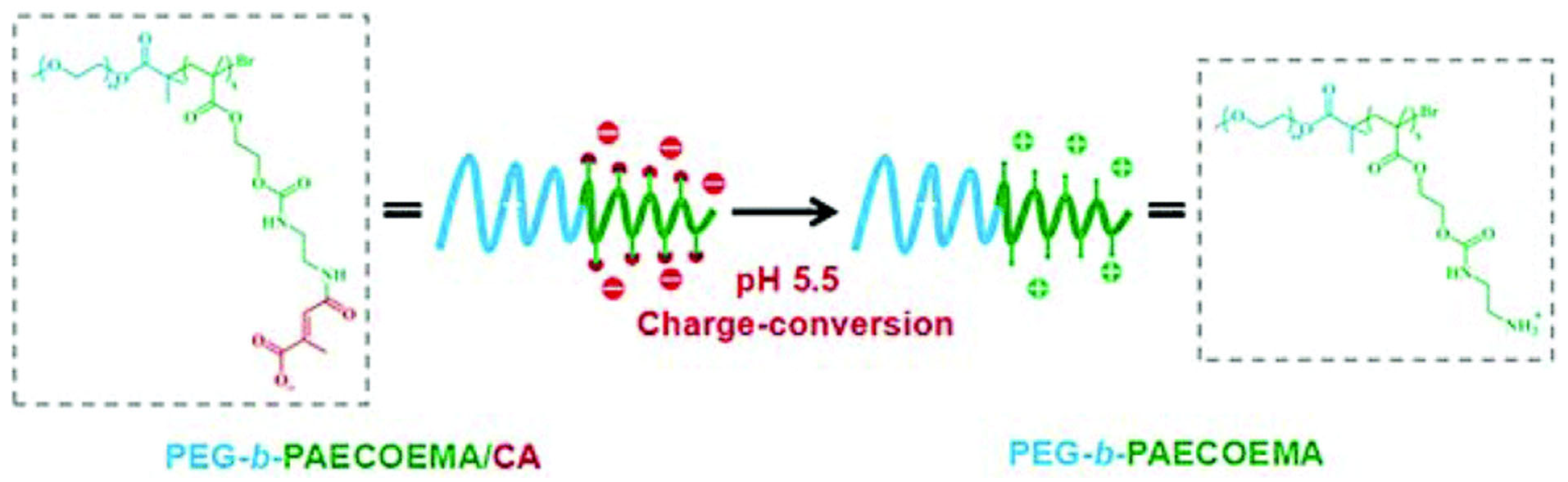 Pharmaceutics 15 01837 g004 Pharmaceutics 15 01837 g004