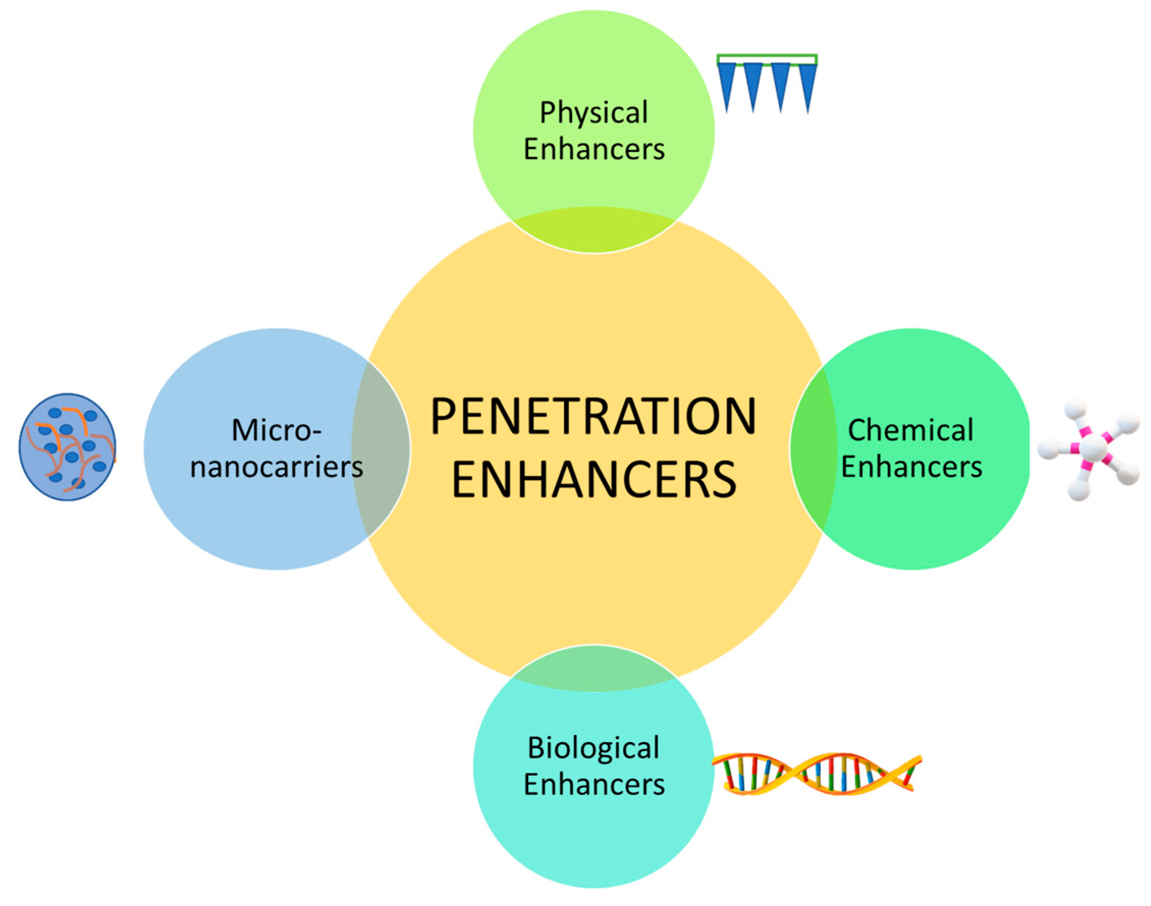 Pharmaceutics 15 01844 g004