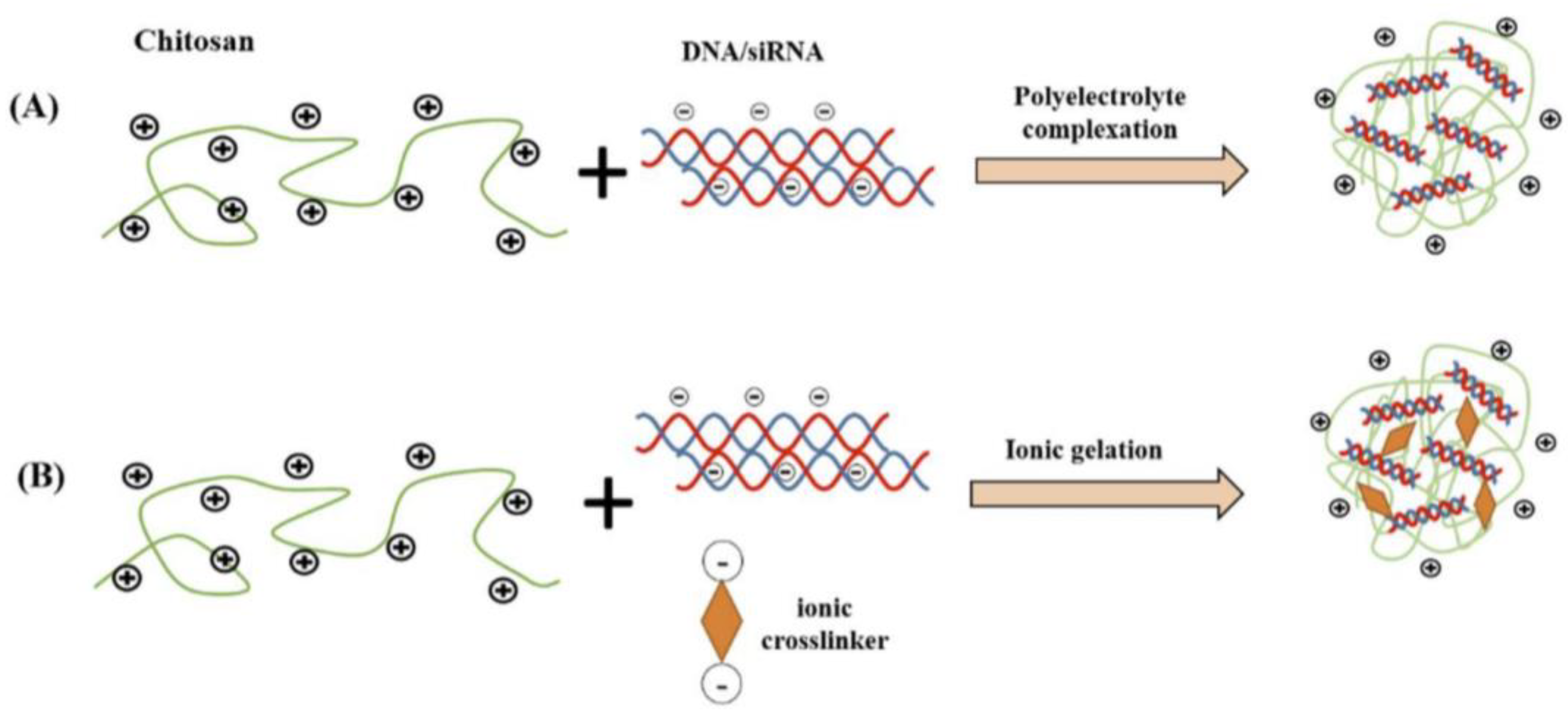 Pharmaceutics 15 01849 g002 Pharmaceutics 15 01849 g002