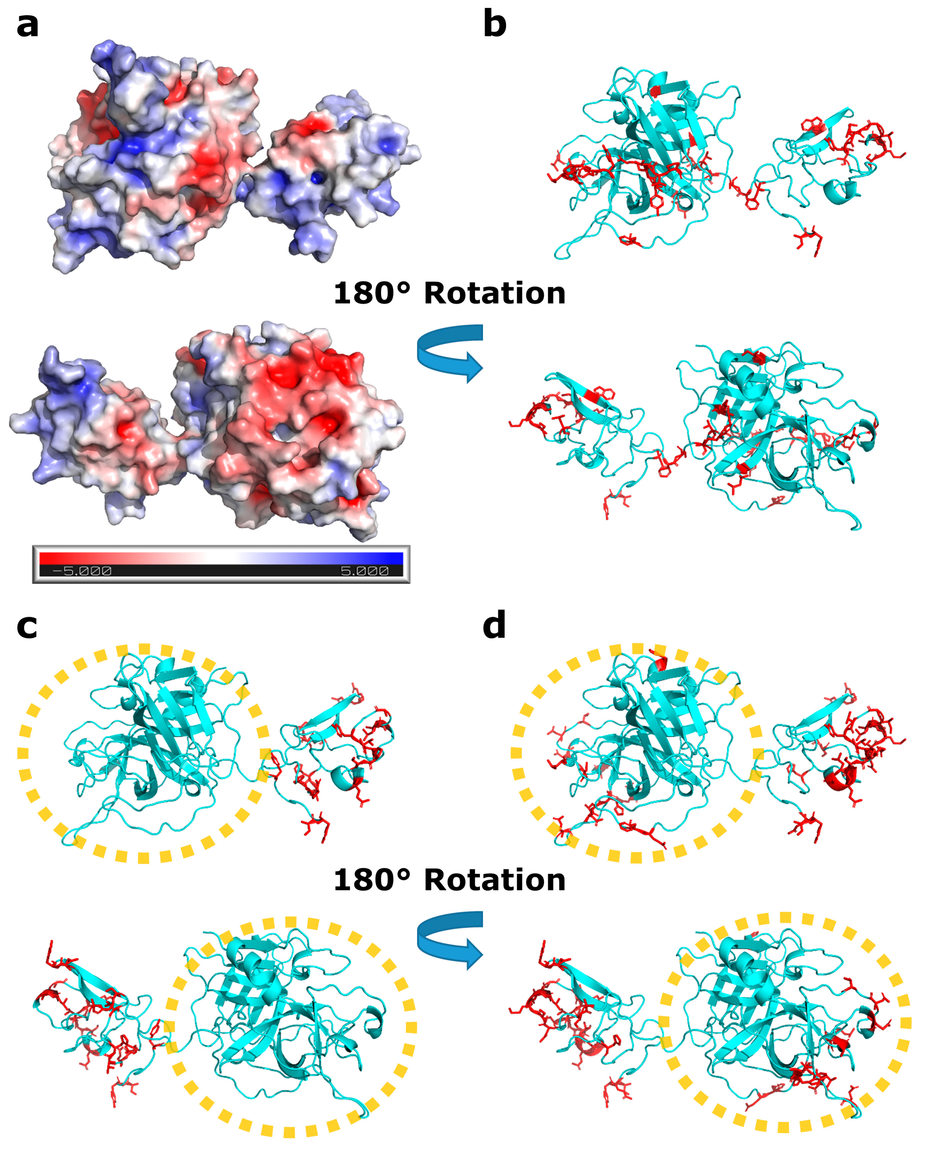 Pharmaceutics 15 01854 g003