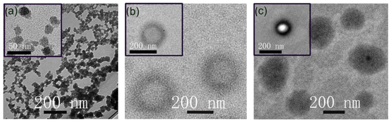 Pharmaceutics 15 01886 g001 Pharmaceutics 15 01886 g001