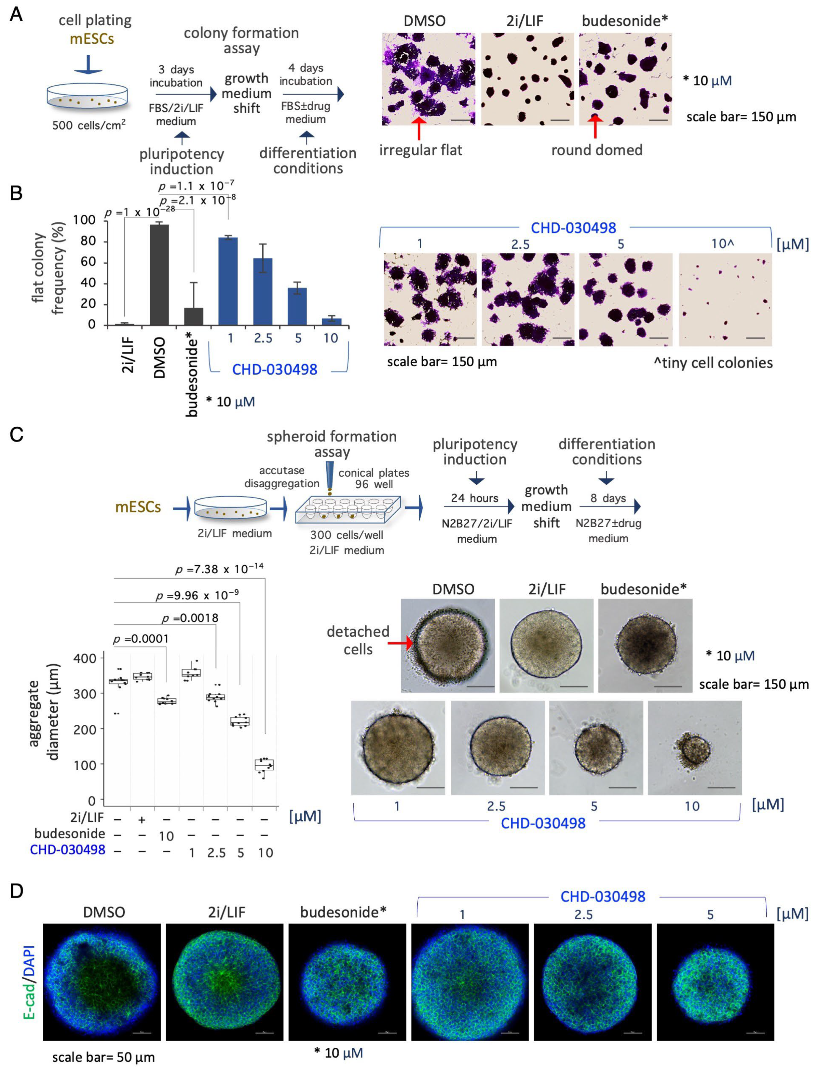 Pharmaceutics 15 01897 g004 Pharmaceutics 15 01897 g004