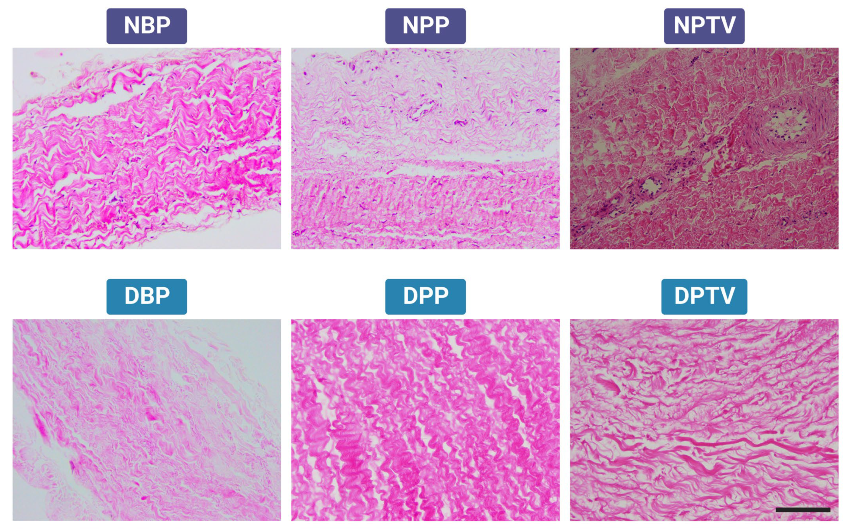 Pharmaceutics 15 01906 g002 Pharmaceutics 15 01906 g002