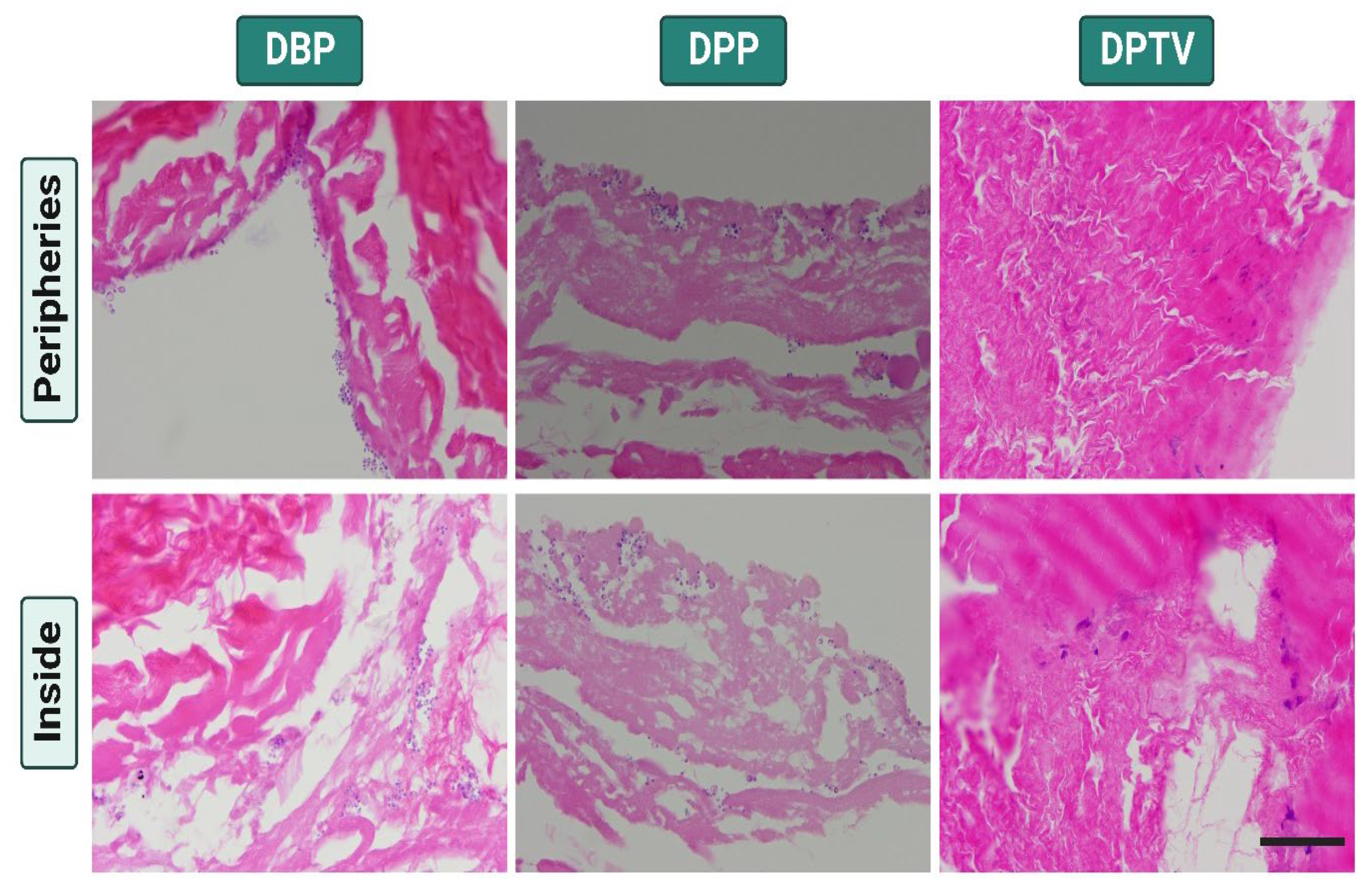 Pharmaceutics 15 01906 g008 Pharmaceutics 15 01906 g008