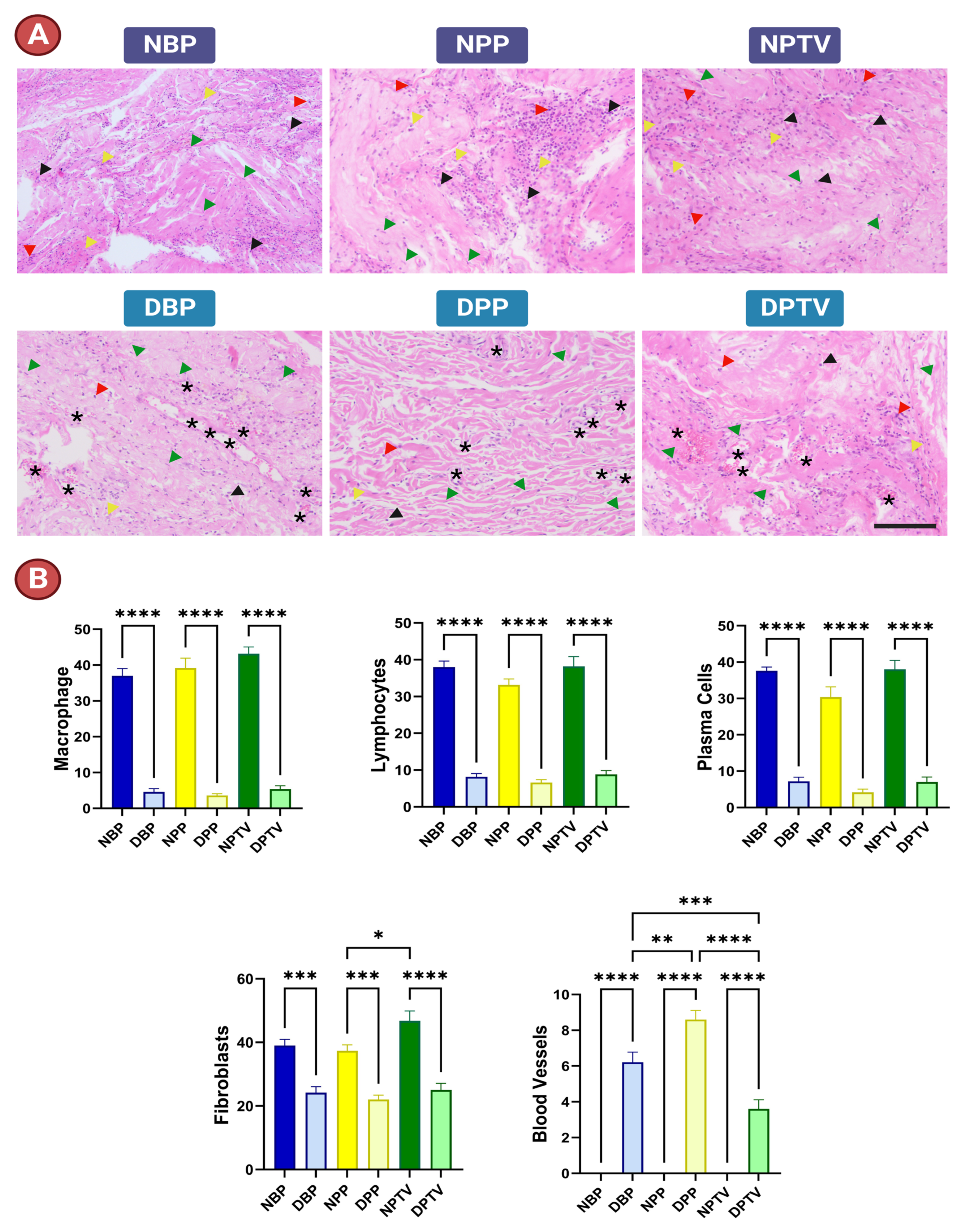 Pharmaceutics 15 01906 g009 Pharmaceutics 15 01906 g009