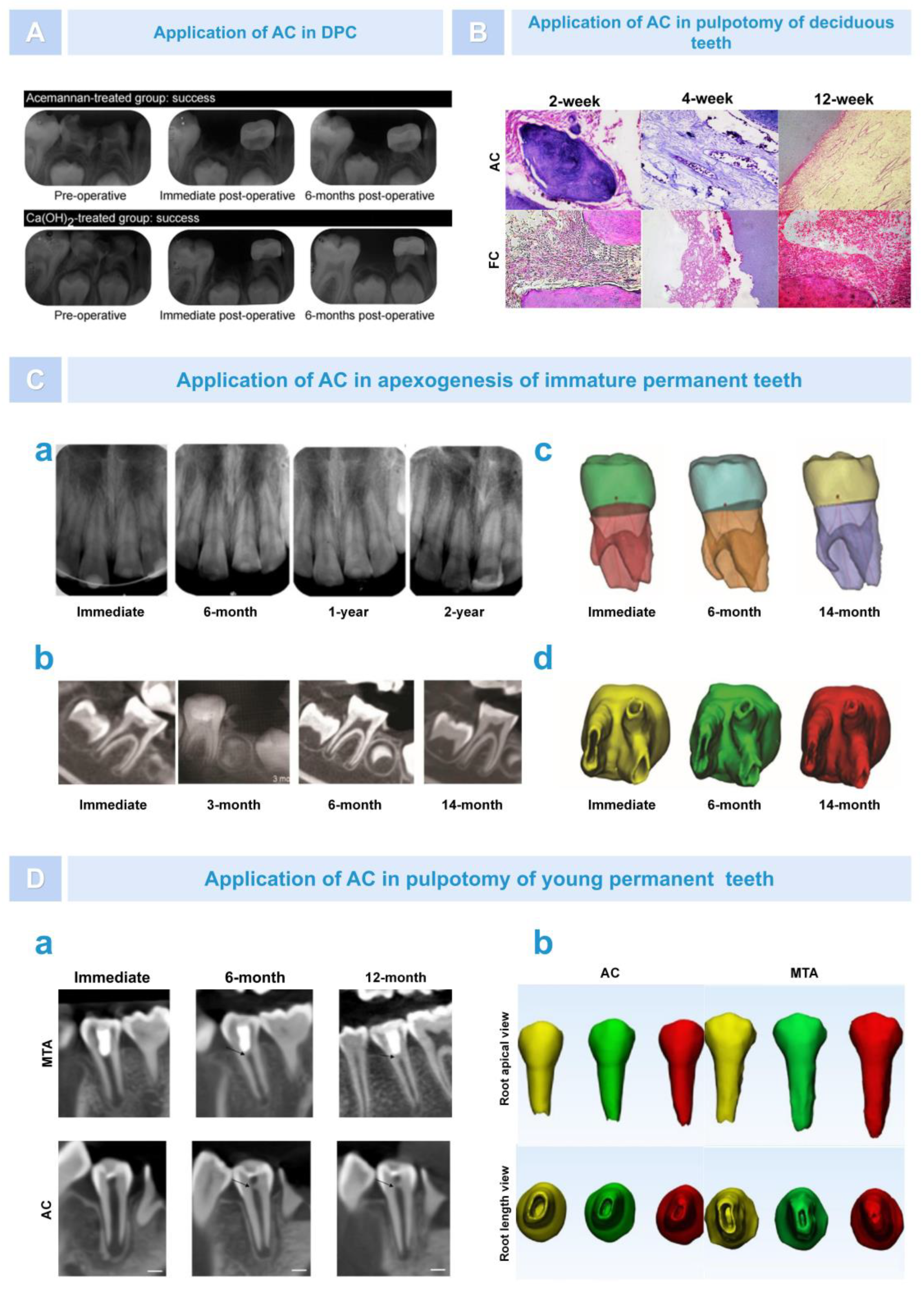 Pharmaceutics 15 01913 g009