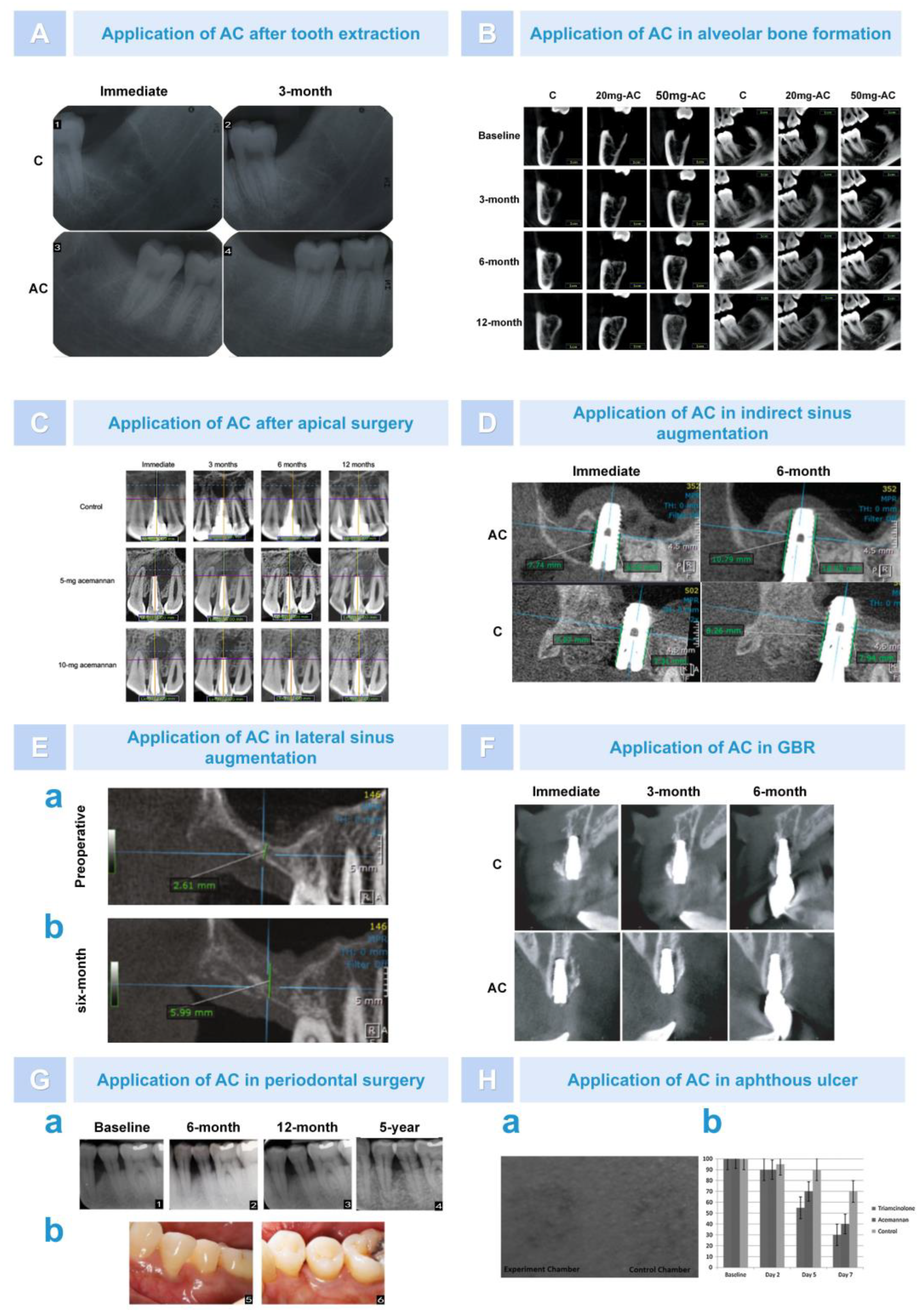 Pharmaceutics 15 01913 g010