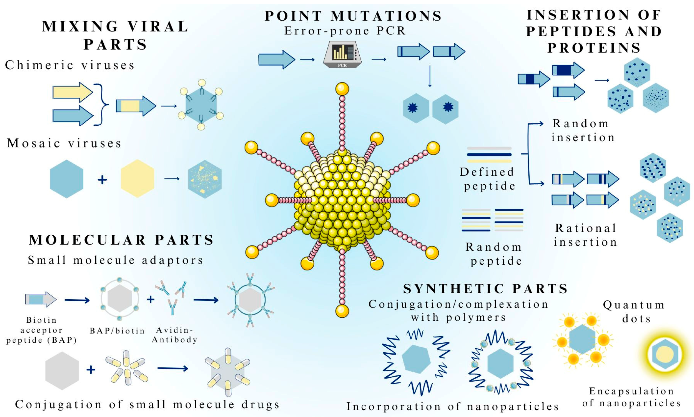 Pharmaceutics 15 01931 g002