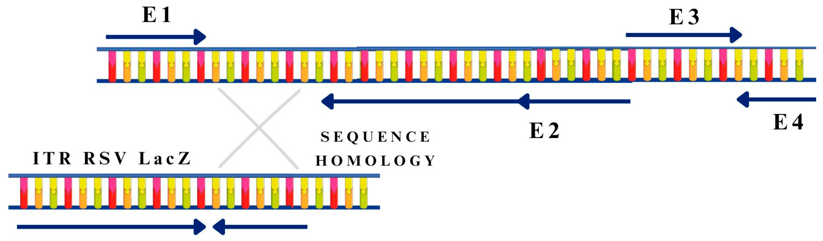 Pharmaceutics 15 01931 g003