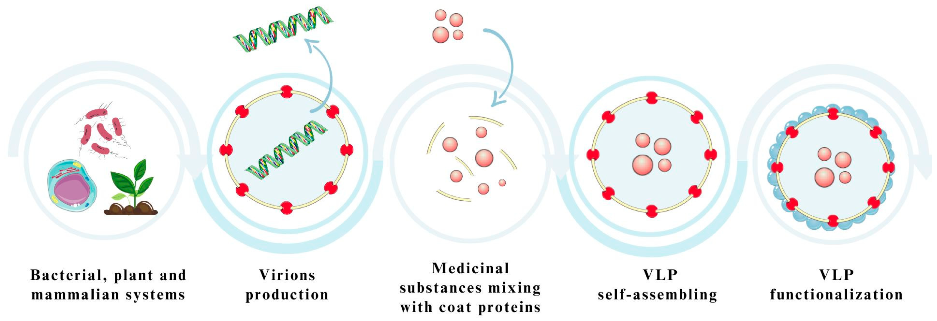 Pharmaceutics 15 01931 g006