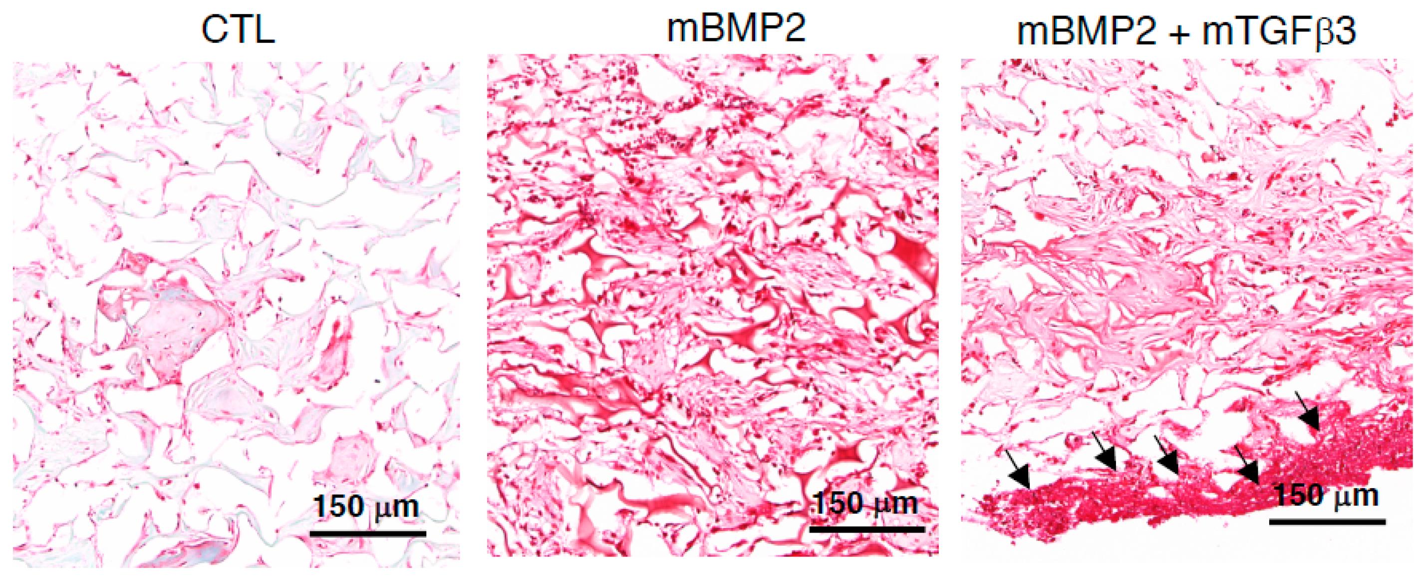 Pharmaceutics 15 01965 g005