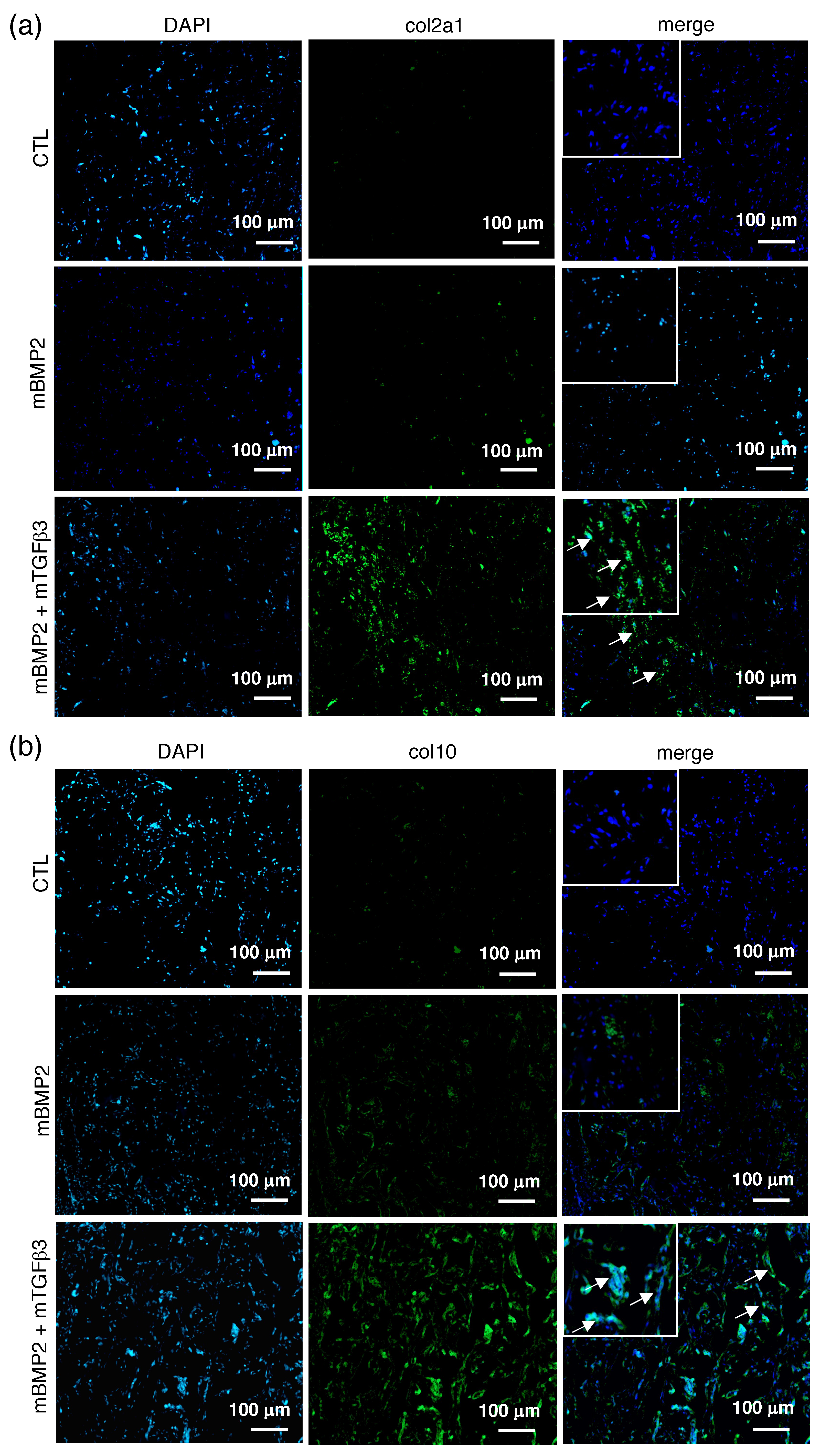 Pharmaceutics 15 01965 g006