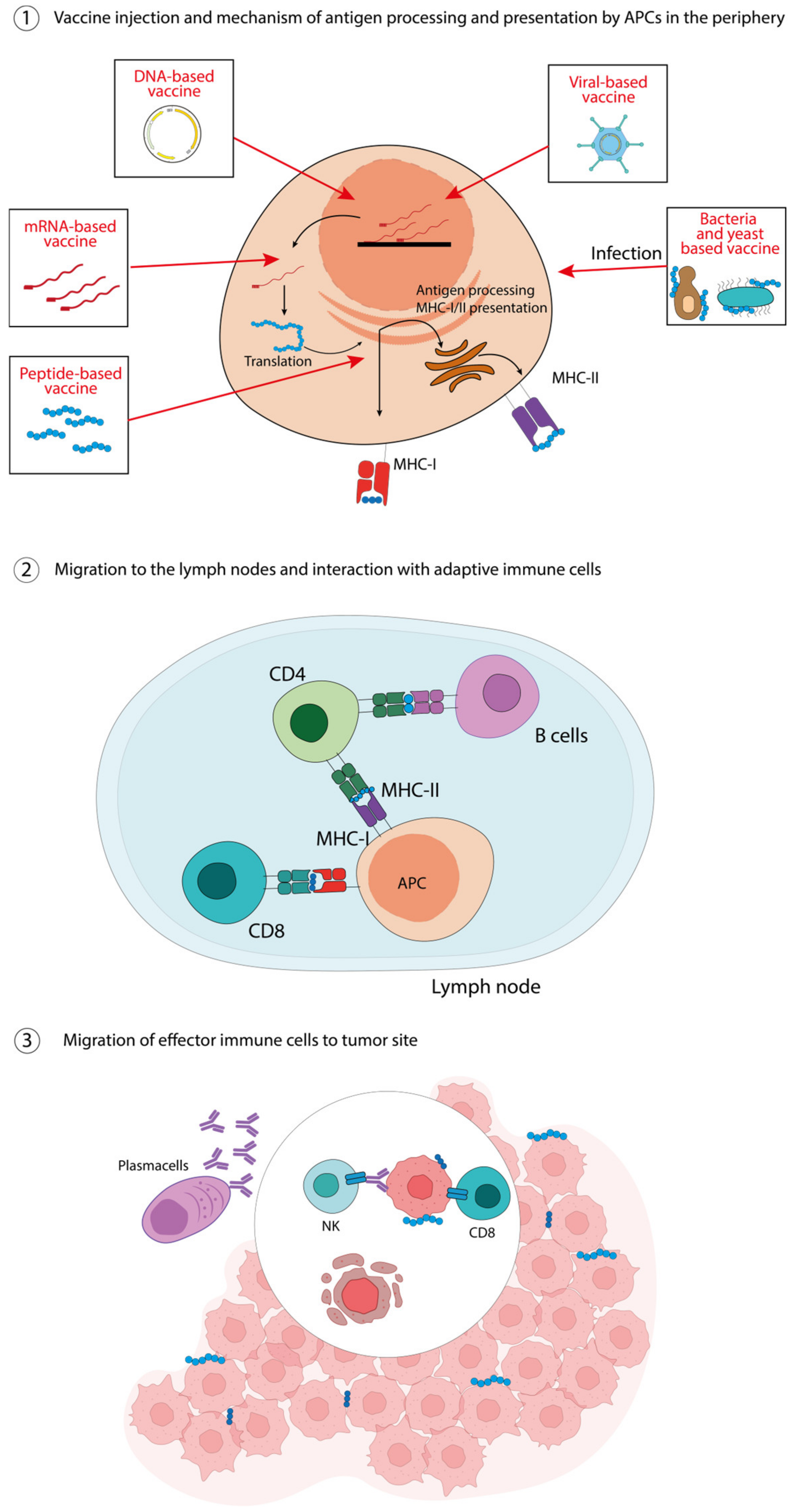 Pharmaceutics 15 01969 g001